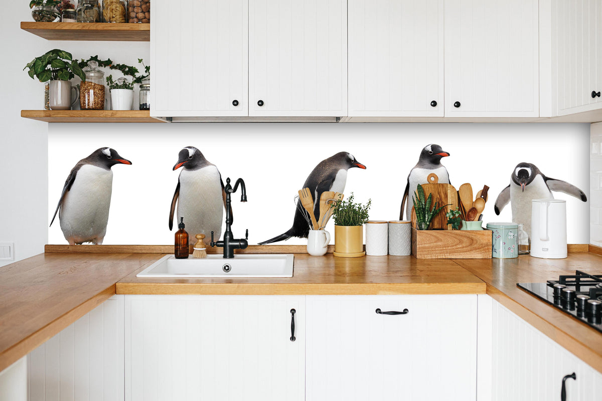 Küche - Pinguine auf weißem Hintergrund in weißer Küche hinter Gewürzen und Kochlöffeln aus Holz