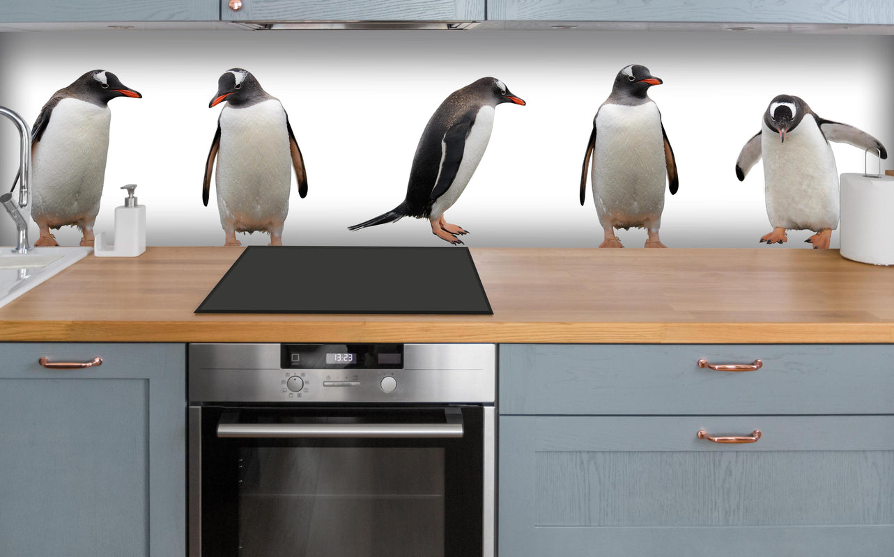 Küche - Pinguine auf weißem Hintergrund über polierter Holzarbeitsplatte mit Cerankochfeld
