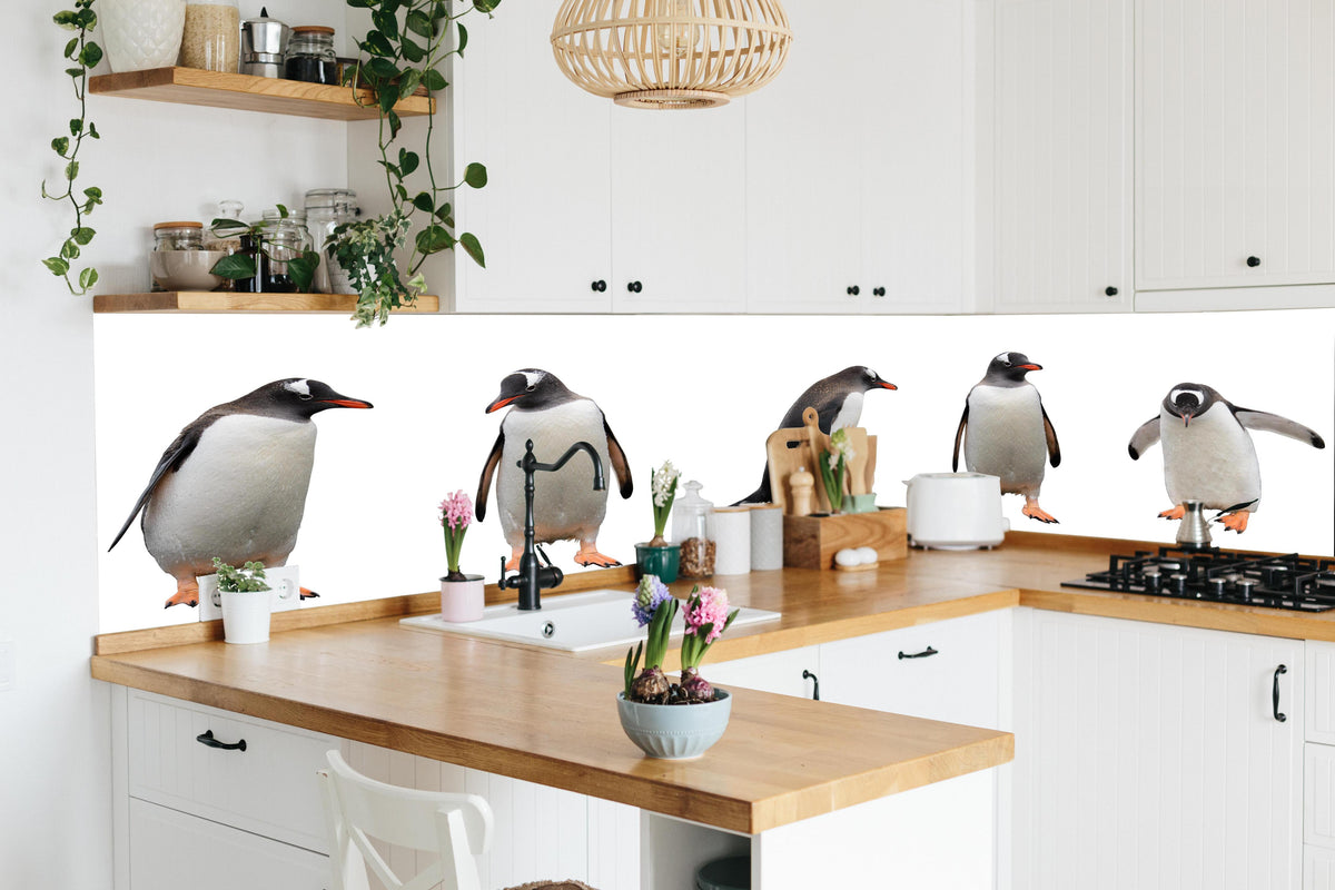 Küche - Pinguine auf weißem Hintergrund in lebendiger Küche mit bunten Blumen