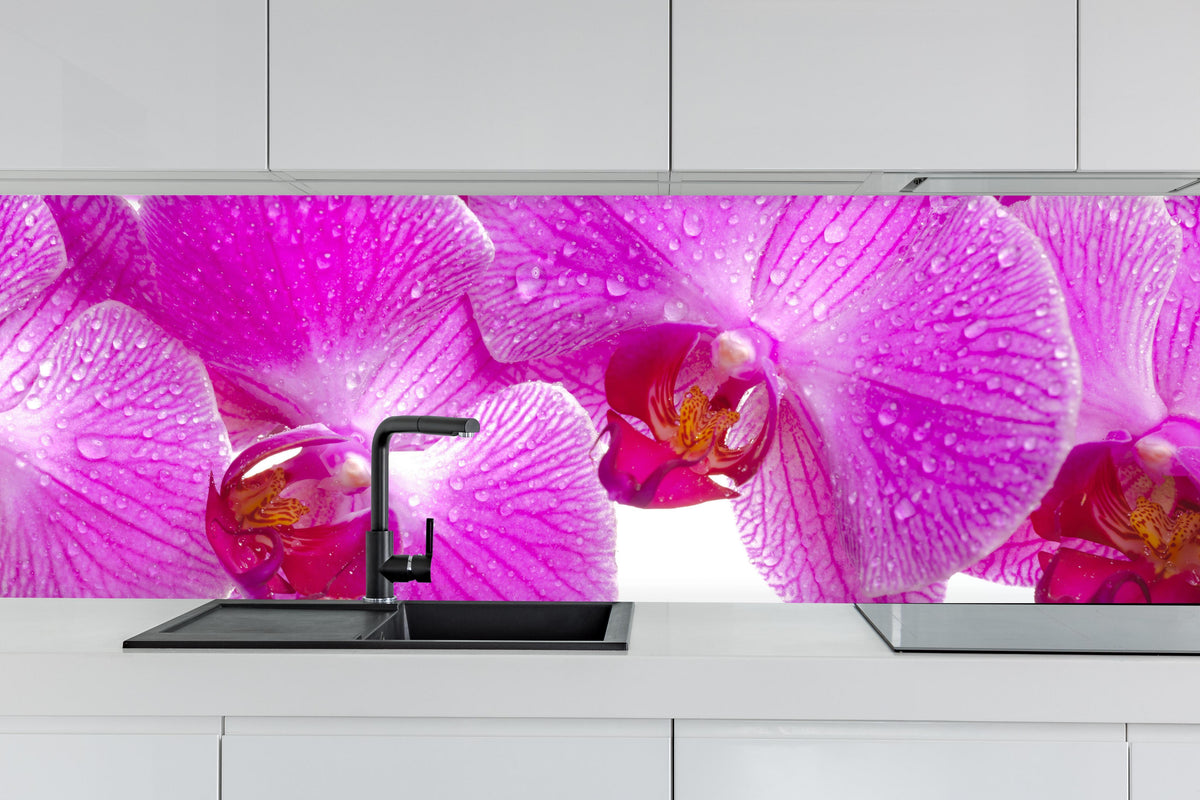 Küche - Pinke Orchideen hinter weißen Hochglanz-Küchenregalen und schwarzem Wasserhahn