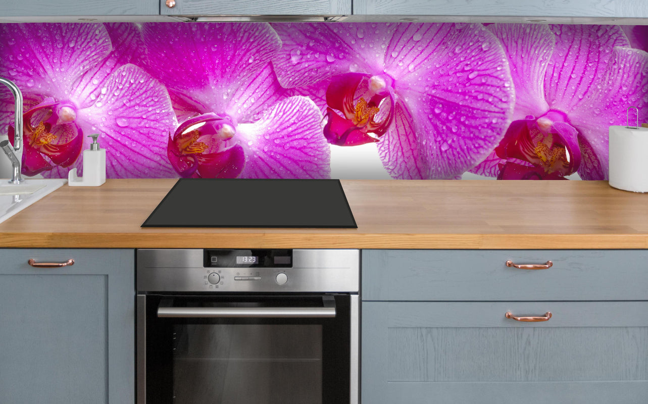 Küche - Pinke Orchideen über polierter Holzarbeitsplatte mit Cerankochfeld