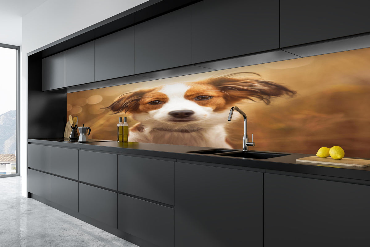 Küche - Portrait eines süßen Kooiker Hundes in tiefschwarzer matt-premium Einbauküche