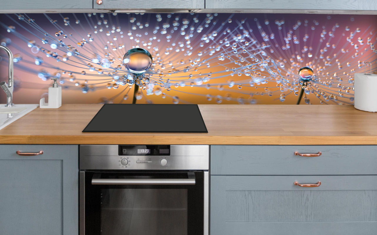 Küche - Pusteblumen mit Tau über polierter Holzarbeitsplatte mit Cerankochfeld