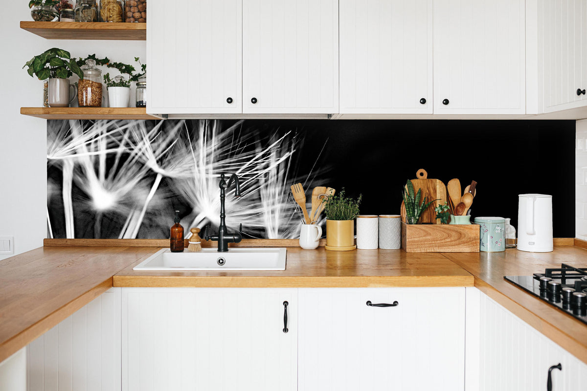 Küchenrückwand - Pusteblumen schwarz-weiß Hintergrund - Rueckwand24