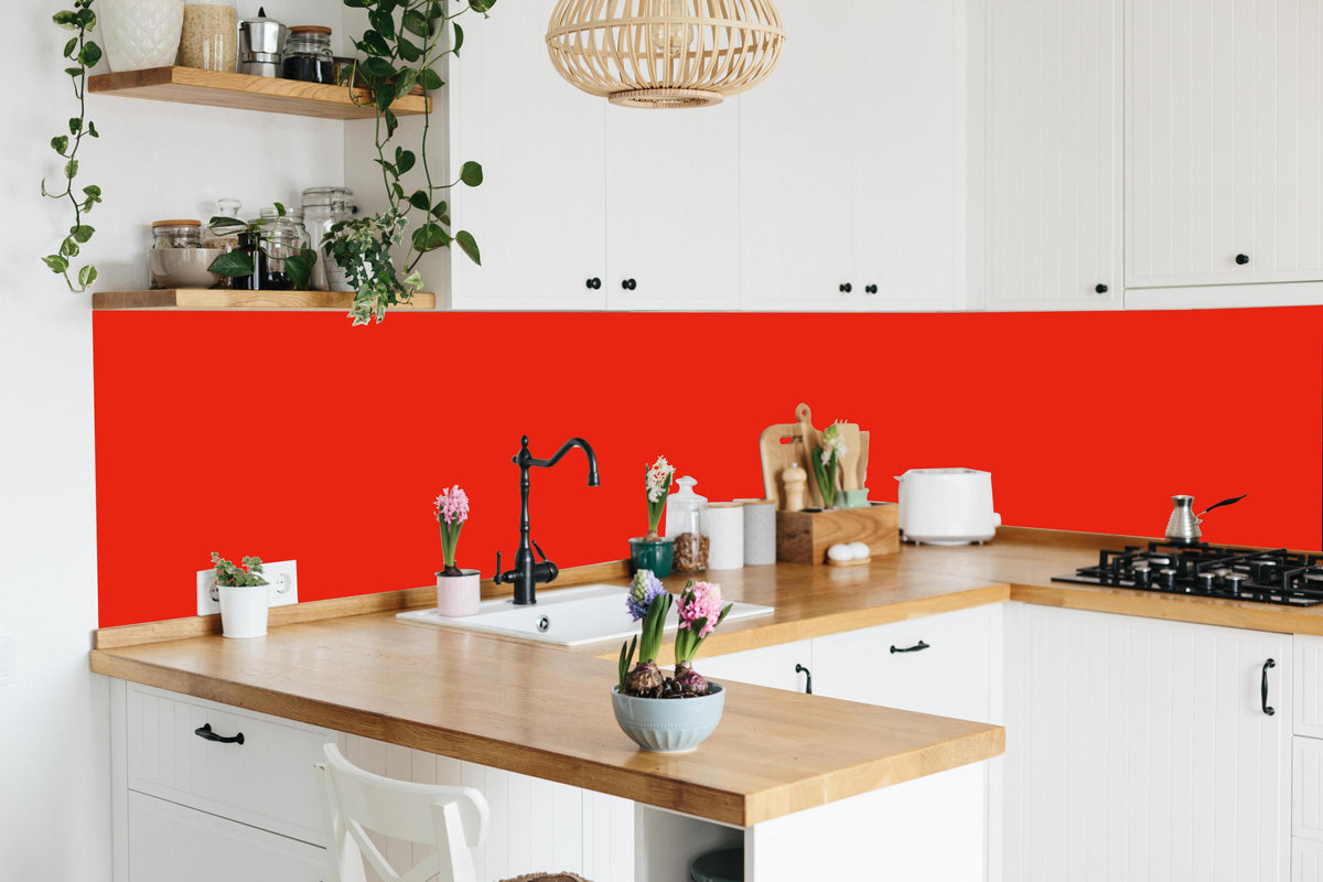 Küche - RAL 3028 (Reines Rot) in lebendiger Küche mit bunten Blumen