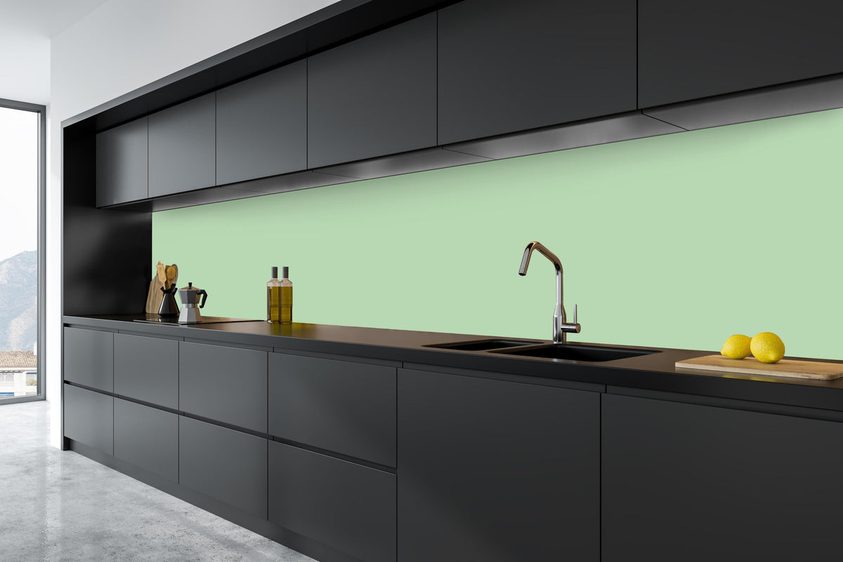Küche - RAL 6019 (pastellgrün) in tiefschwarzer matt-premium Einbauküche