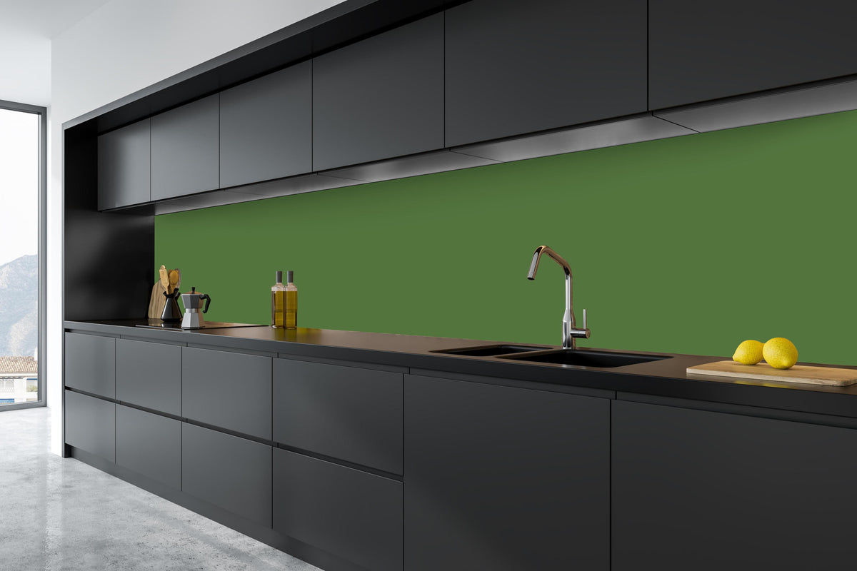 Küche - RAL 6025 (Farngrün) in tiefschwarzer matt-premium Einbauküche
