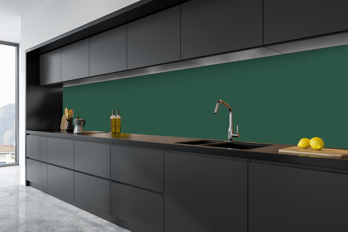 Küche - RAL 6028 (Tannengrün) in tiefschwarzer matt-premium Einbauküche