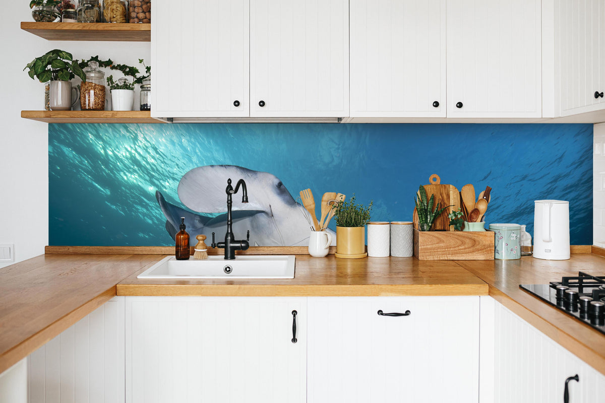 Küche - Riff-Manta Unterwasser in weißer Küche hinter Gewürzen und Kochlöffeln aus Holz