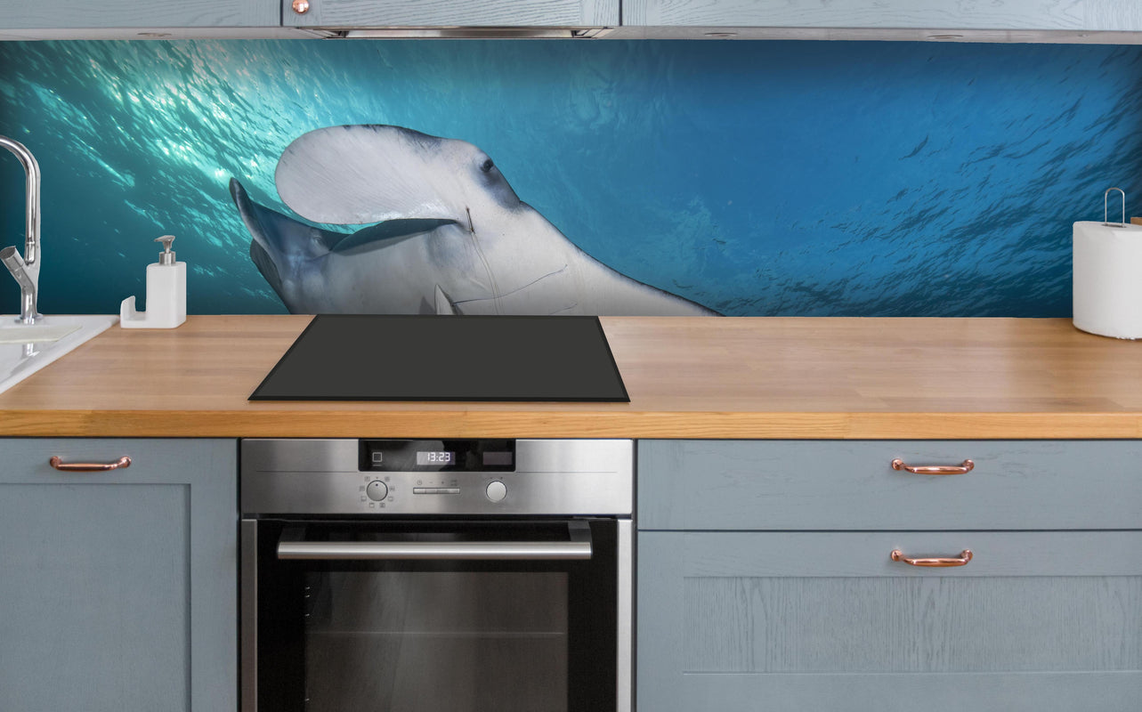 Küche - Riff-Manta Unterwasser über polierter Holzarbeitsplatte mit Cerankochfeld