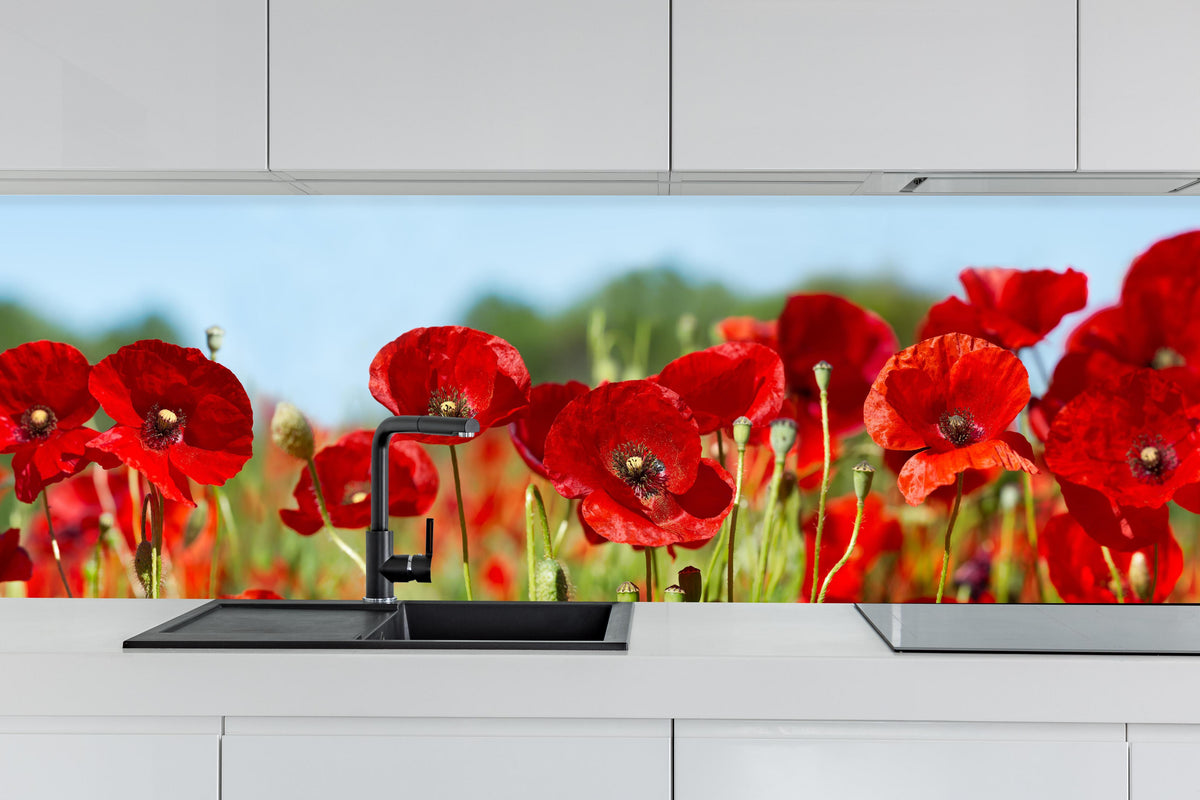 Küche - Rote Mohnblumen auf einem Feld hinter weißen Hochglanz-Küchenregalen und schwarzem Wasserhahn