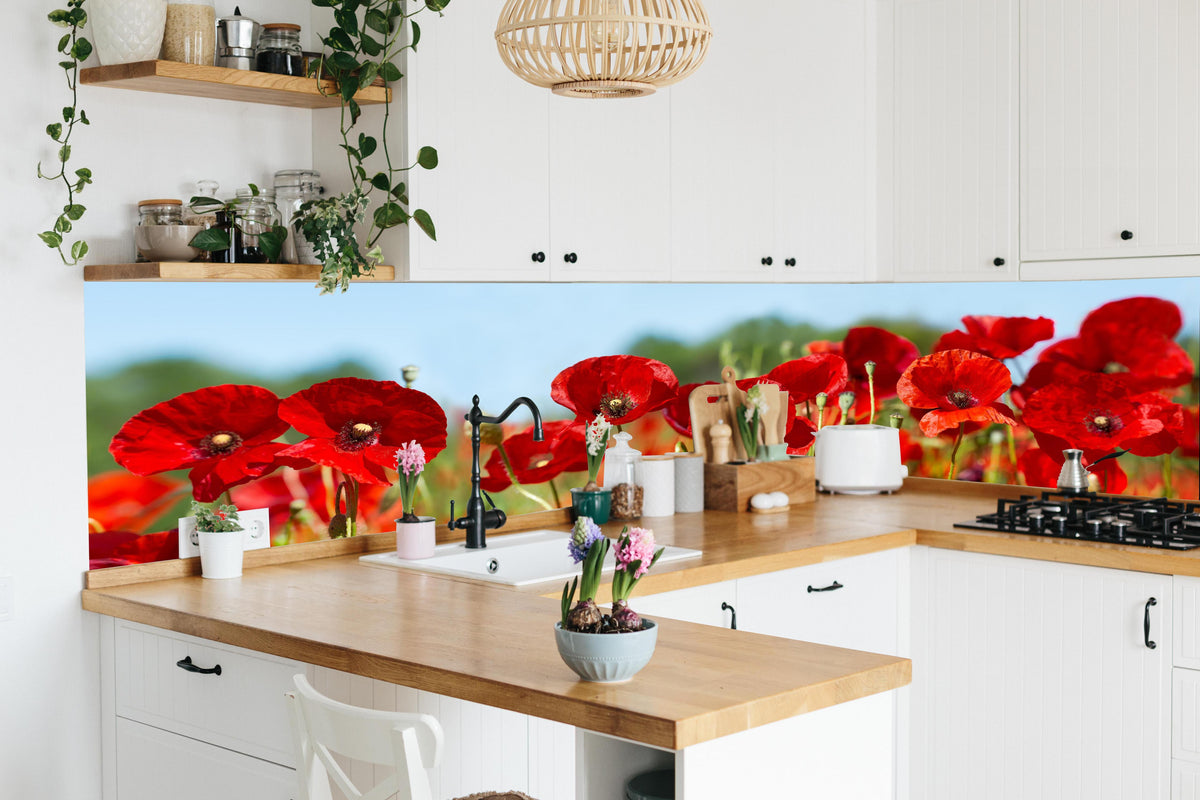 Küche - Rote Mohnblumen auf einem Feld in lebendiger Küche mit bunten Blumen