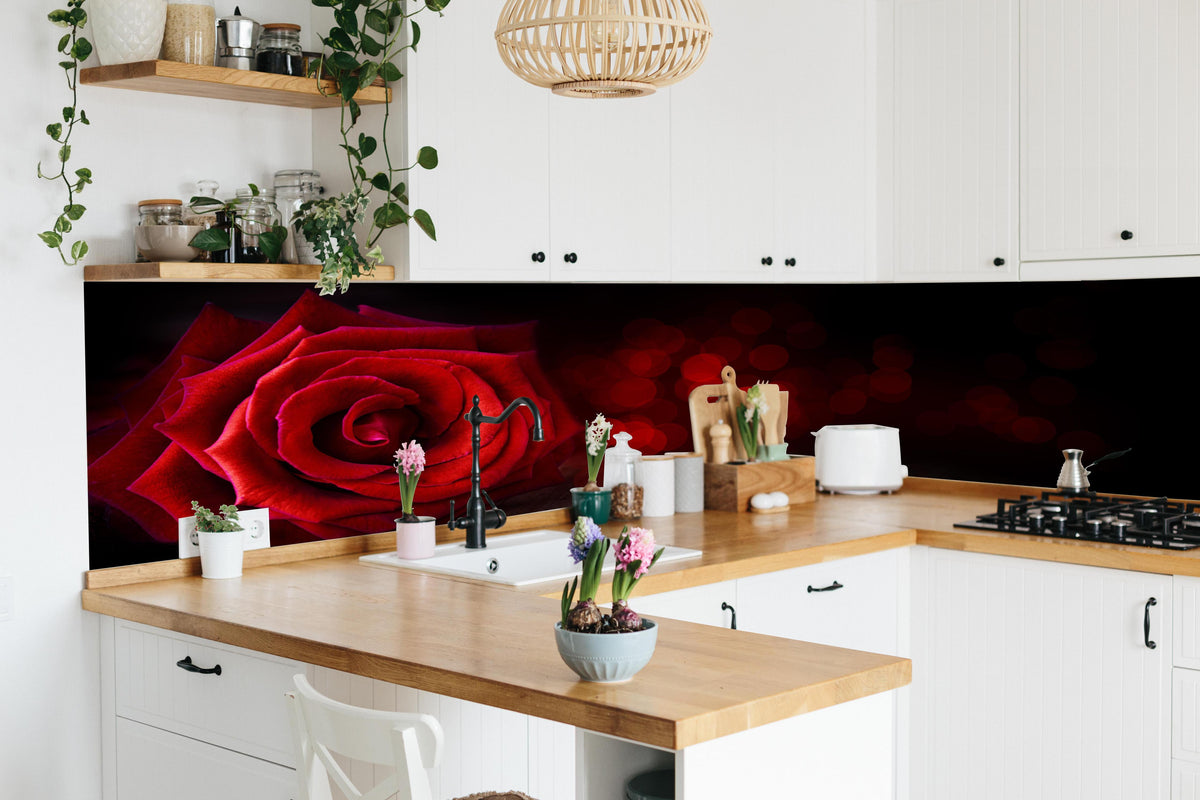Küche - Rote Rose auf schwarzem Hintergrund in lebendiger Küche mit bunten Blumen