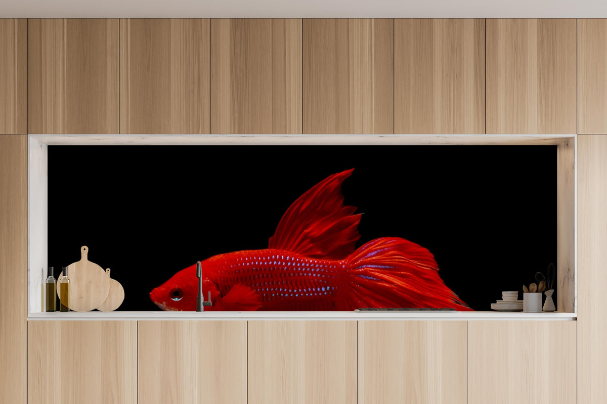 Küche - Roter Betta-Kampffisch in charakteristischer Vollholz-Küche mit modernem Gasherd
