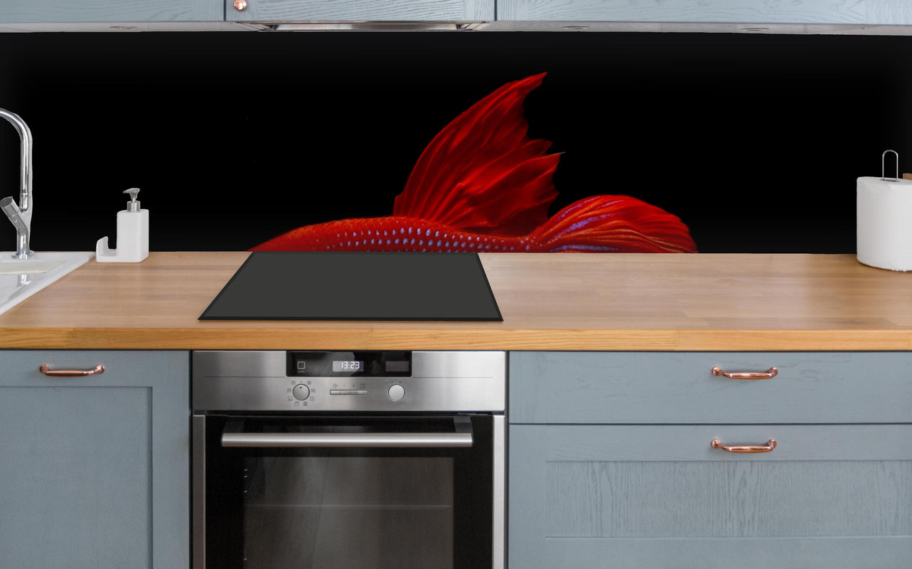 Küche - Roter Betta-Kampffisch über polierter Holzarbeitsplatte mit Cerankochfeld