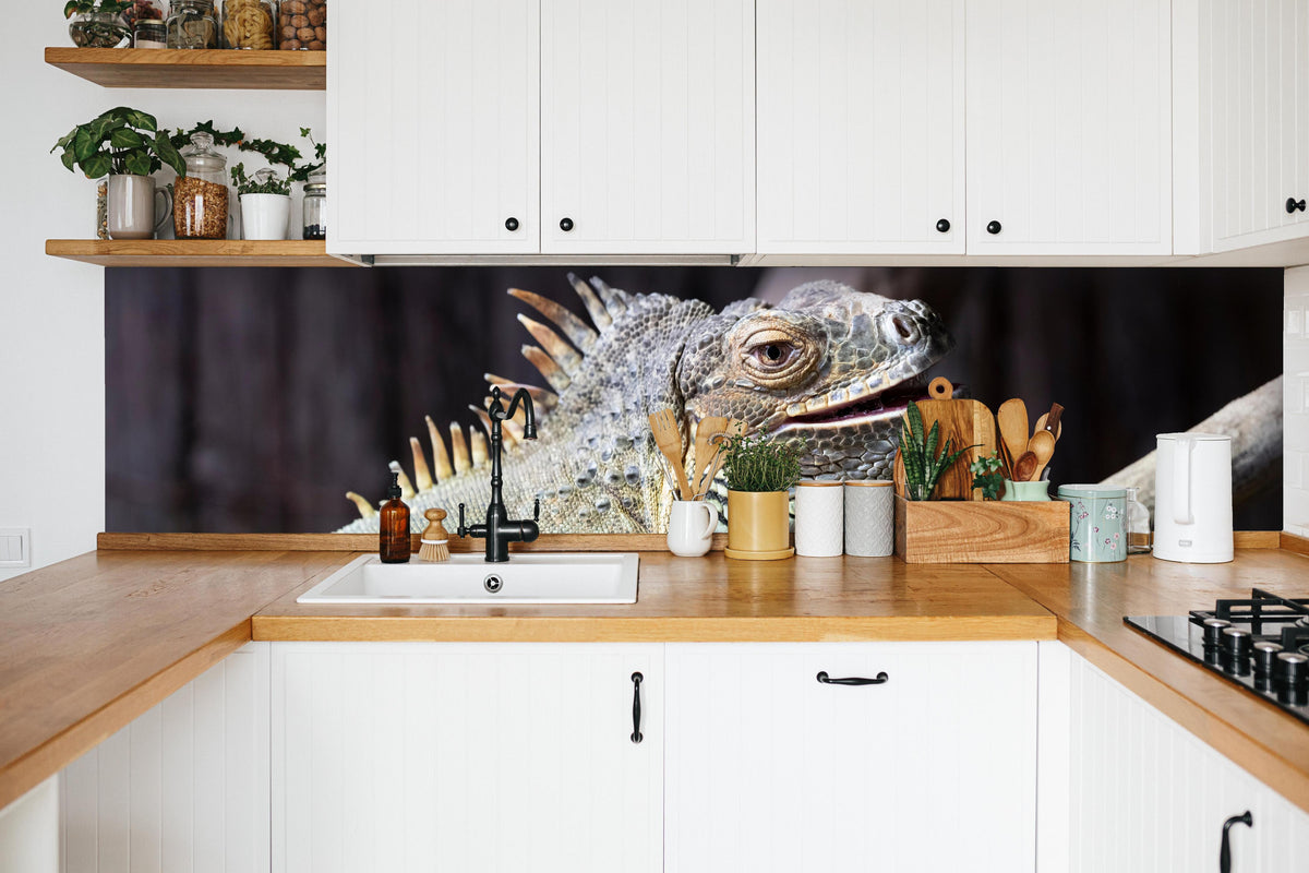 Küche - Ruhender Leguan in weißer Küche hinter Gewürzen und Kochlöffeln aus Holz