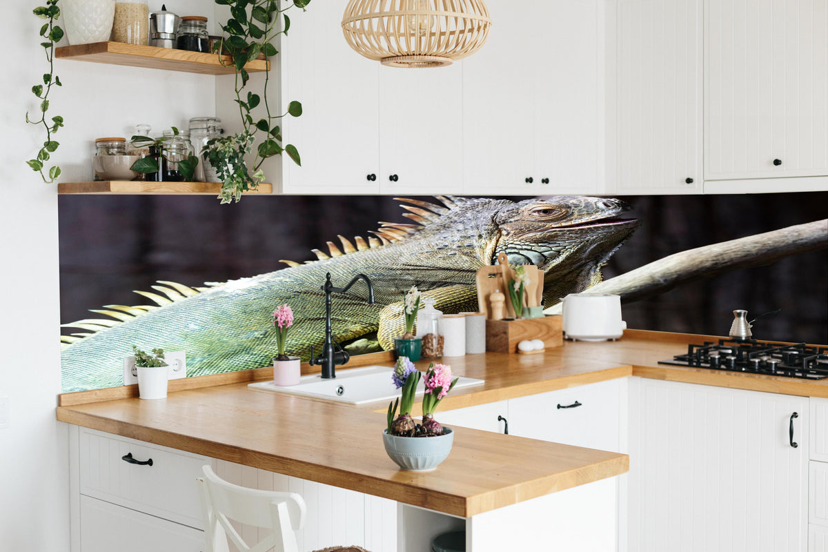 Küche - Ruhender Leguan in lebendiger Küche mit bunten Blumen