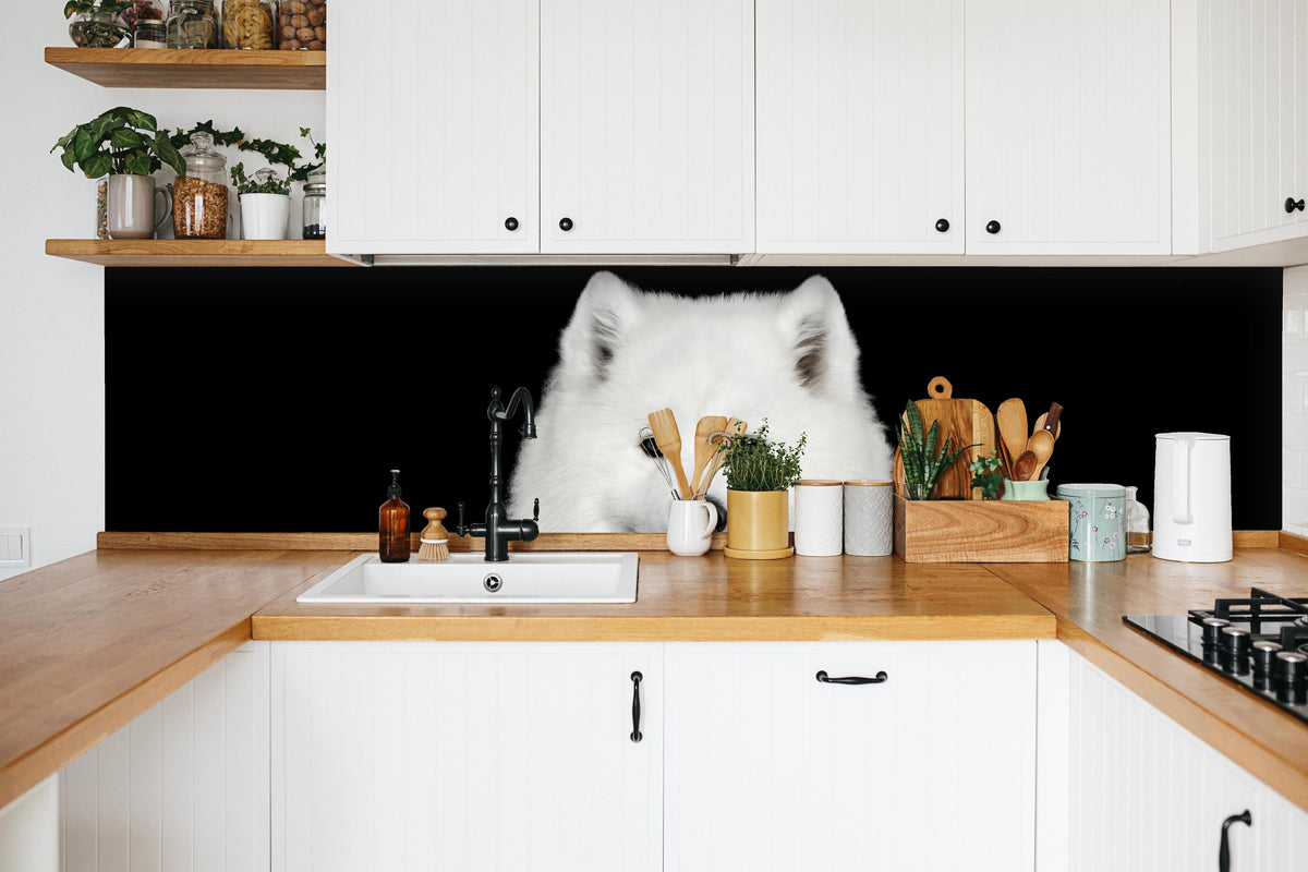 Küche - Samojeden Hund in weißer Küche hinter Gewürzen und Kochlöffeln aus Holz