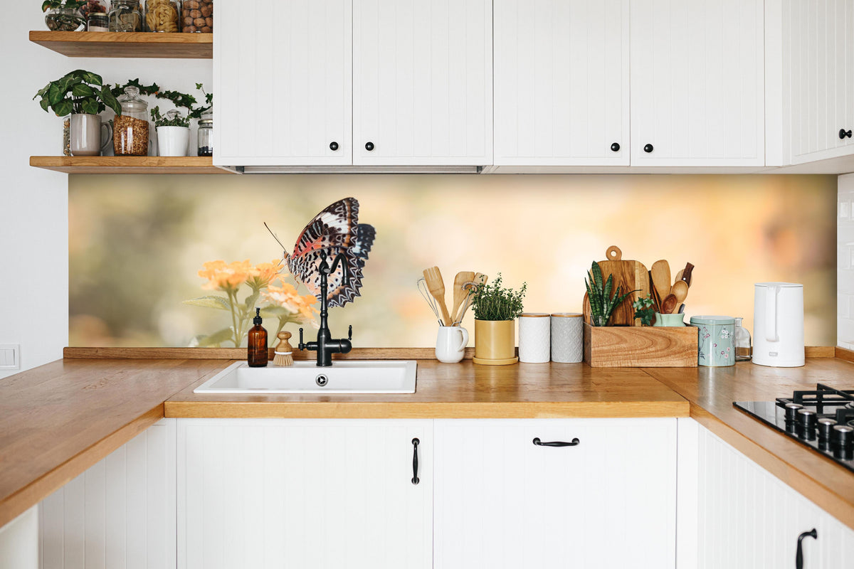 Küche - Schmetterling auf eine orangene Blume in weißer Küche hinter Gewürzen und Kochlöffeln aus Holz