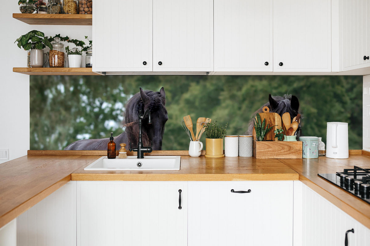 Küche - Schwarze prächtige Friesenpferde in weißer Küche hinter Gewürzen und Kochlöffeln aus Holz