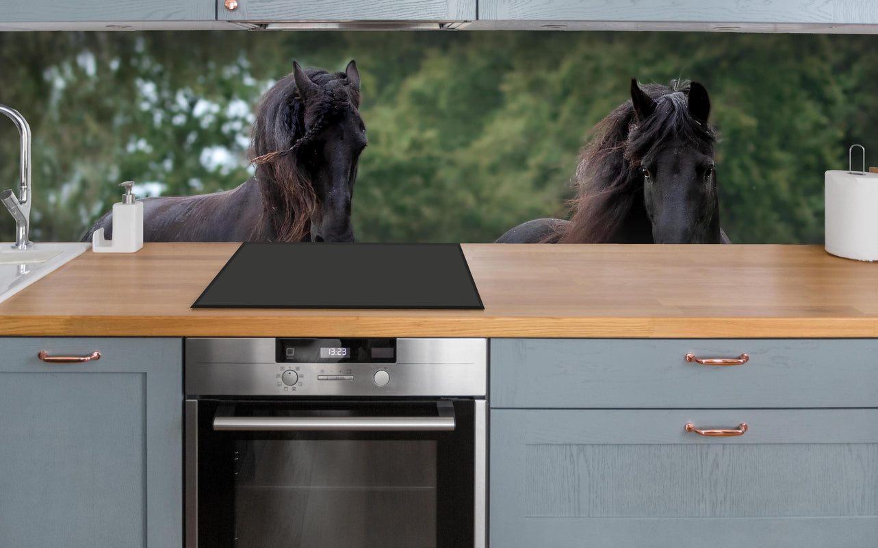 Küche - Schwarze prächtige Friesenpferde über polierter Holzarbeitsplatte mit Cerankochfeld