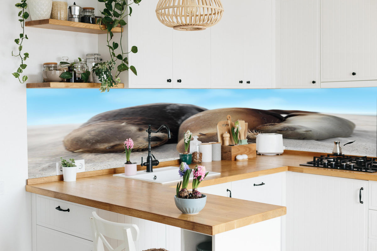 Küche - Seelöwen im Sand liegend in lebendiger Küche mit bunten Blumen