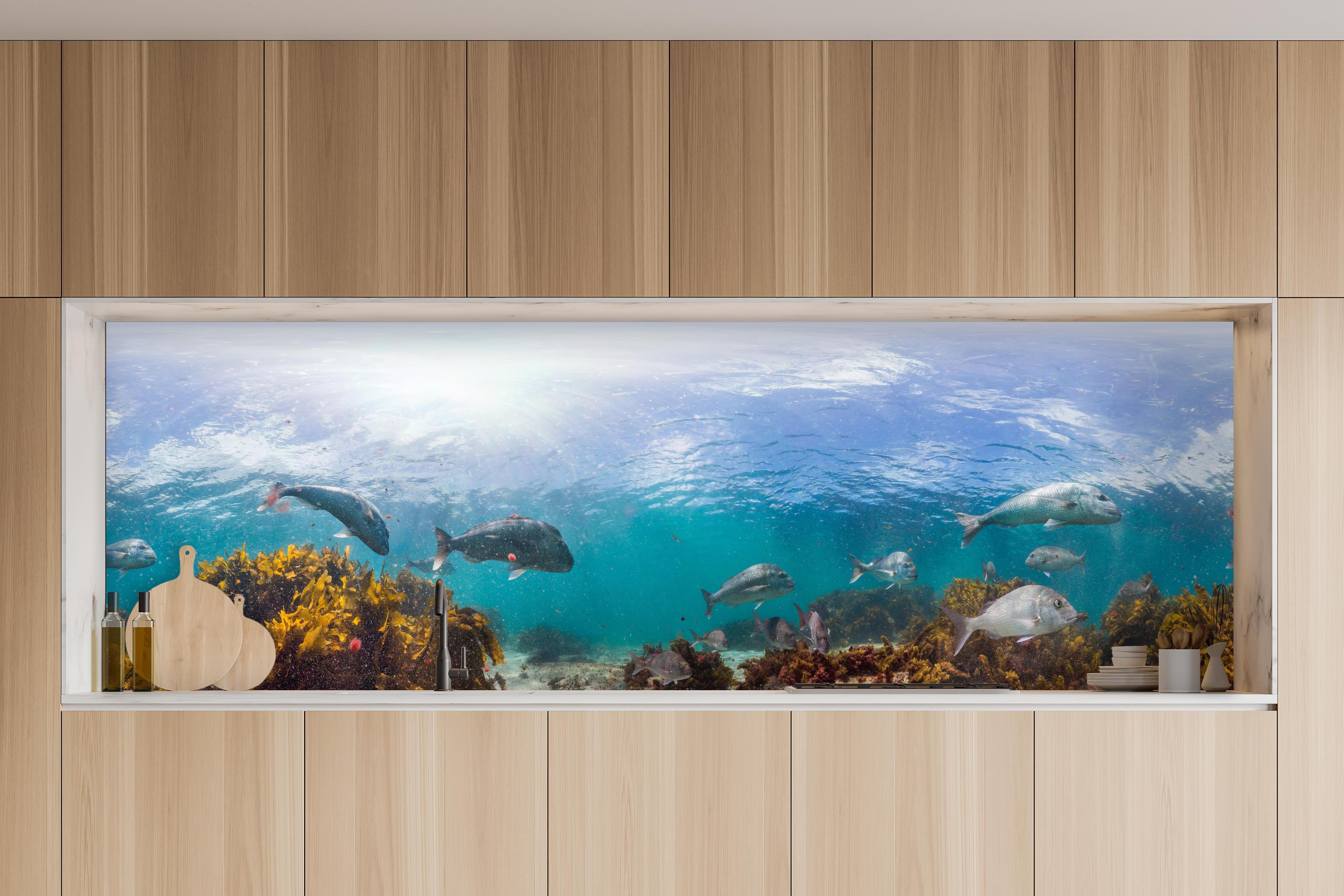 Küche - Seetang und Fisch in Neuseeland in charakteristischer Vollholz-Küche mit modernem Gasherd