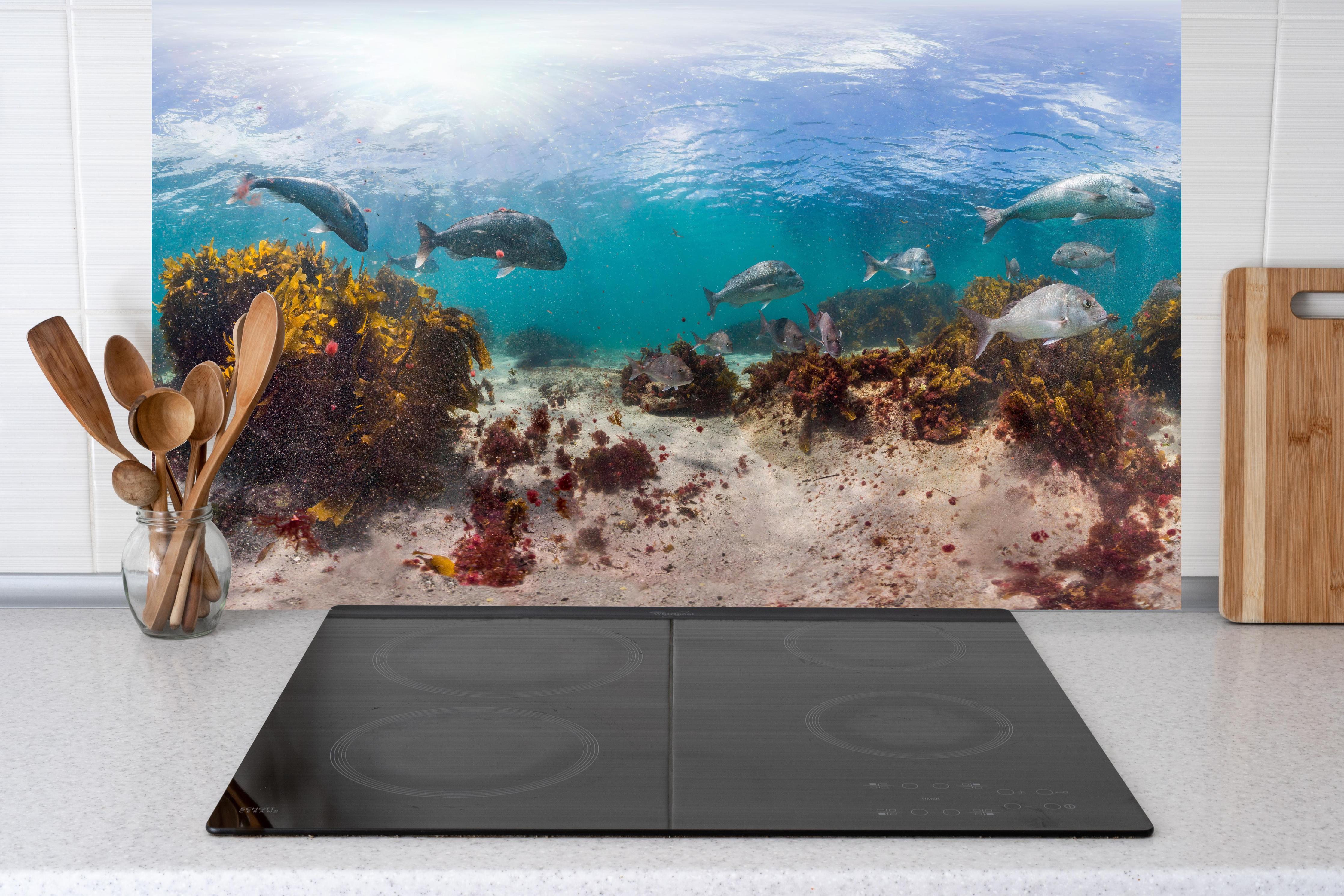 Küche - Seetang und Fisch in Neuseeland hinter Cerankochfeld und Holz-Kochutensilien