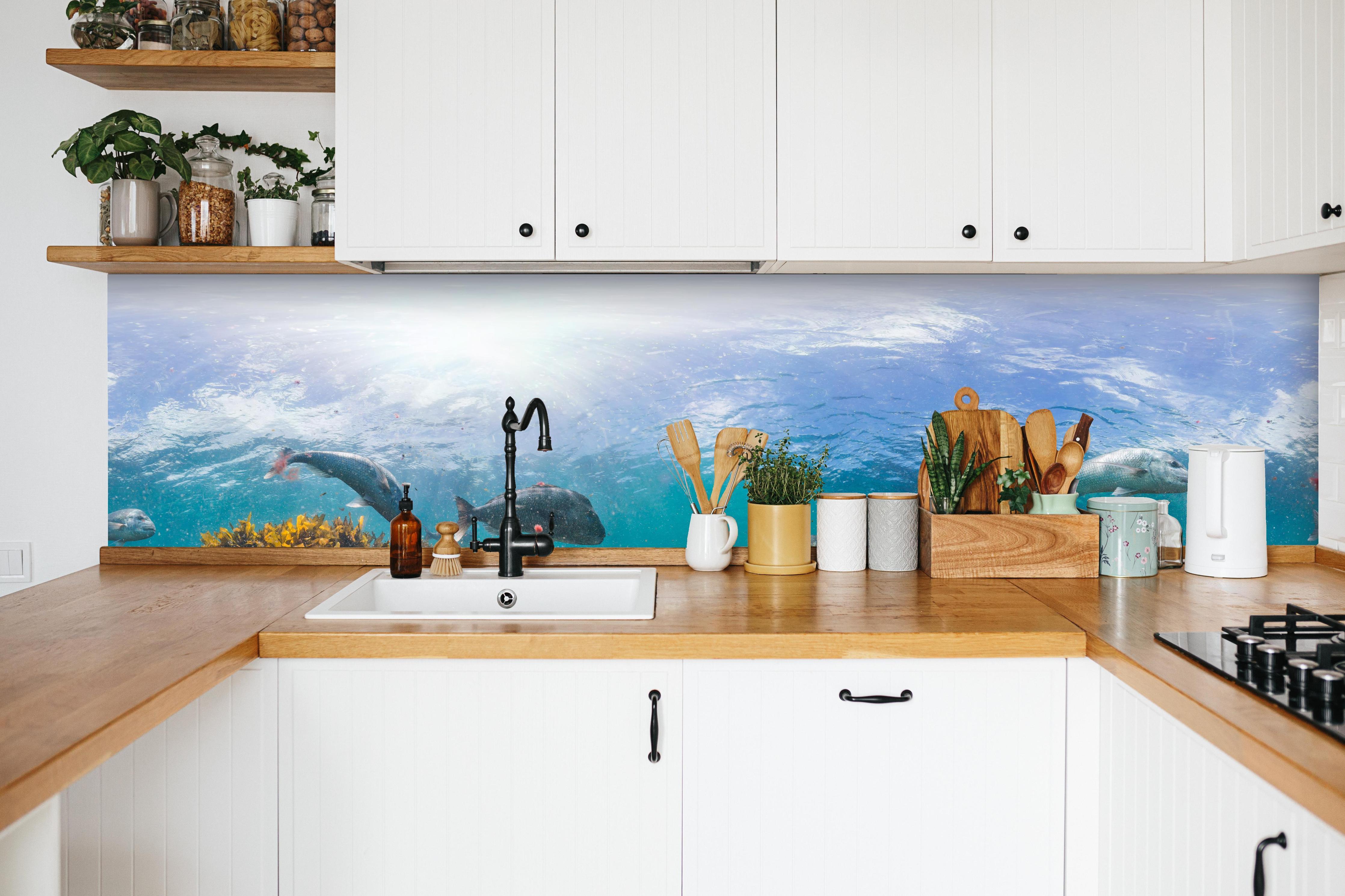 Küche - Seetang und Fisch in Neuseeland in weißer Küche hinter Gewürzen und Kochlöffeln aus Holz