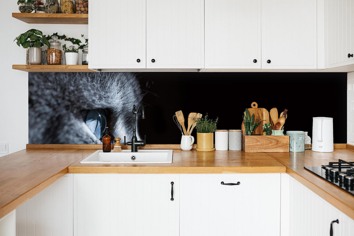 Küche - Seitliches Katzen-Portrait in weißer Küche hinter Gewürzen und Kochlöffeln aus Holz