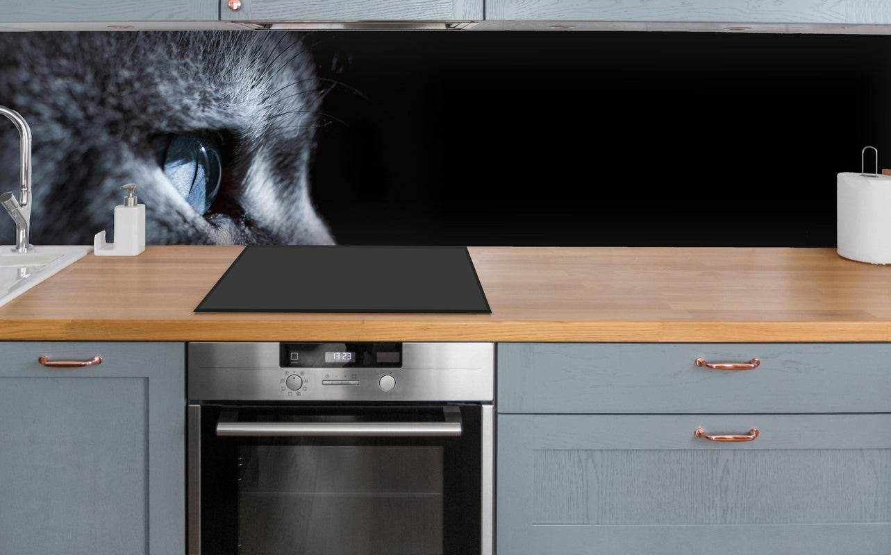 Küche - Seitliches Katzen-Portrait über polierter Holzarbeitsplatte mit Cerankochfeld