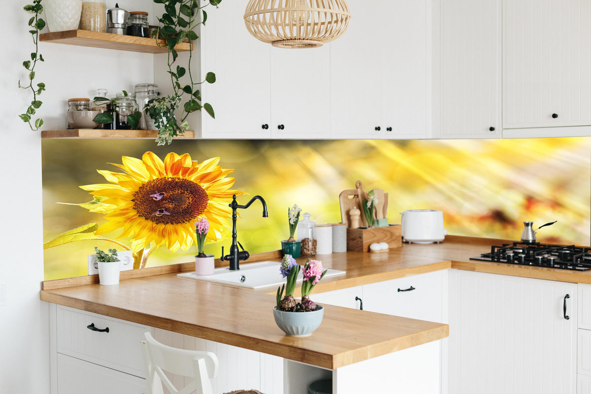 Küche - Sonnenblume in lebendiger Küche mit bunten Blumen