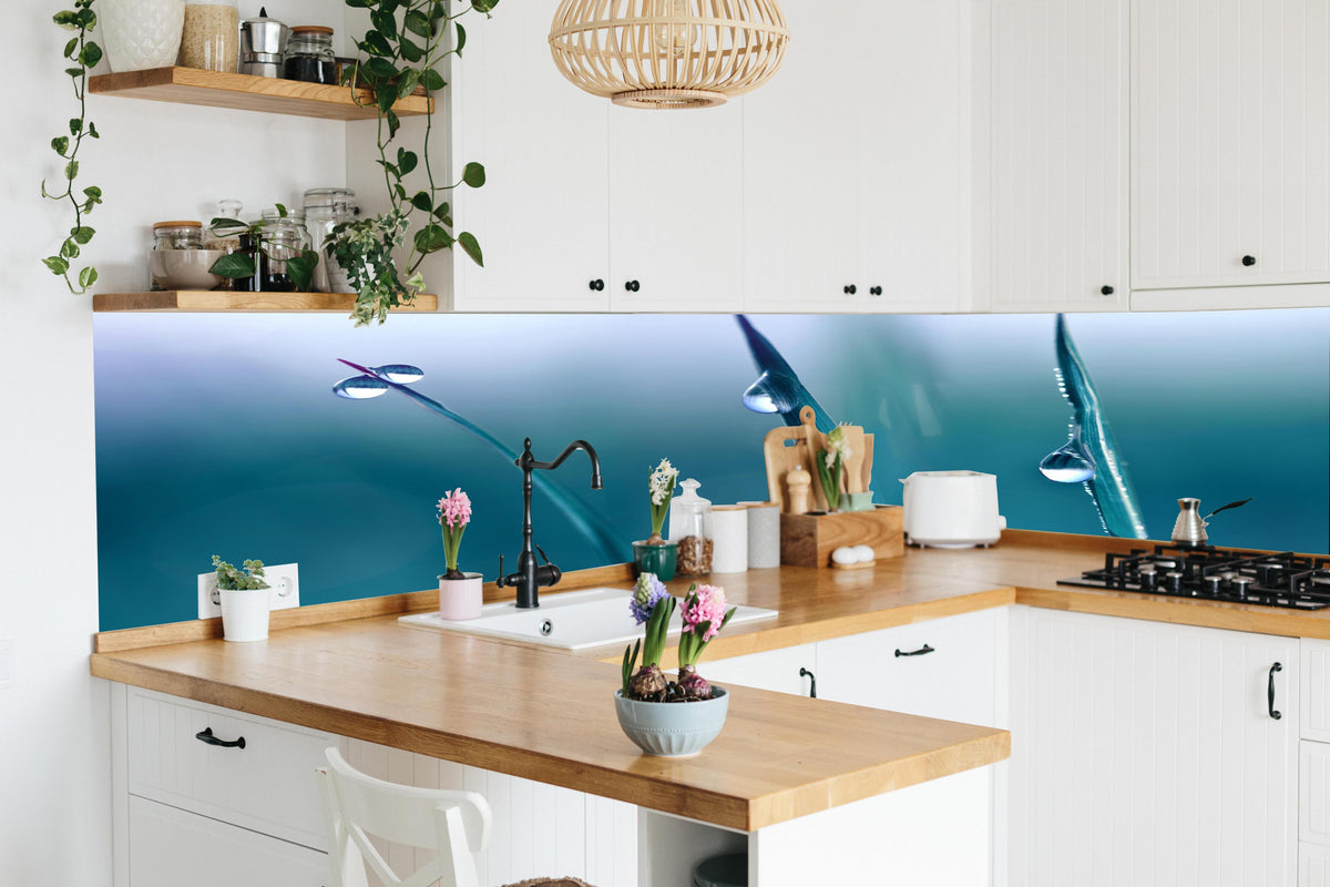 Küche - Transparente Tautropfen in lebendiger Küche mit bunten Blumen