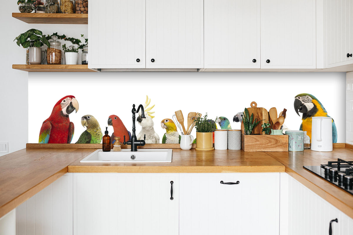 Küche - Tropische Papageien - Exotisch in weißer Küche hinter Gewürzen und Kochlöffeln aus Holz