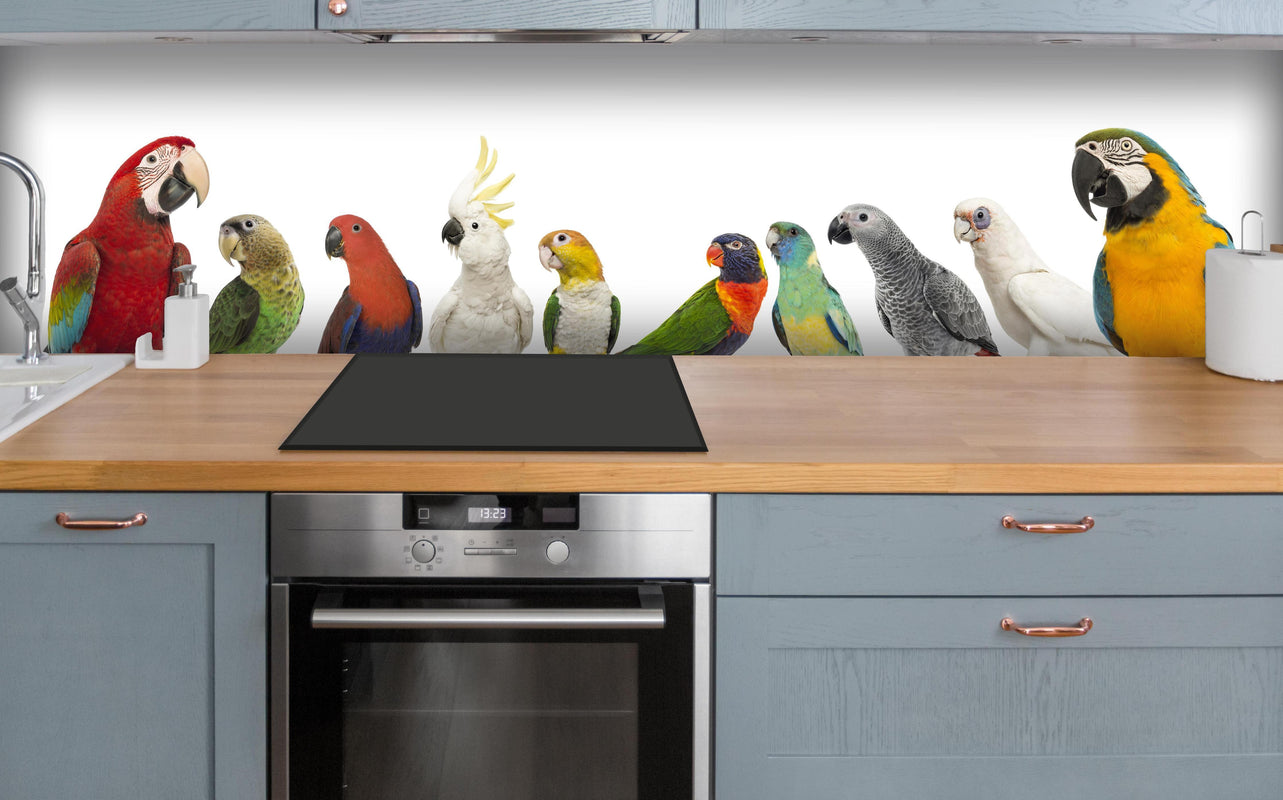 Küche - Tropische Papageien - Exotisch über polierter Holzarbeitsplatte mit Cerankochfeld
