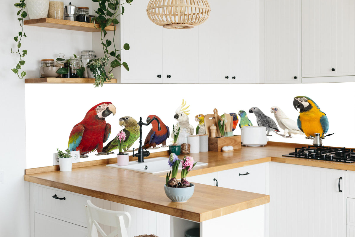 Küche - Tropische Papageien - Exotisch in lebendiger Küche mit bunten Blumen