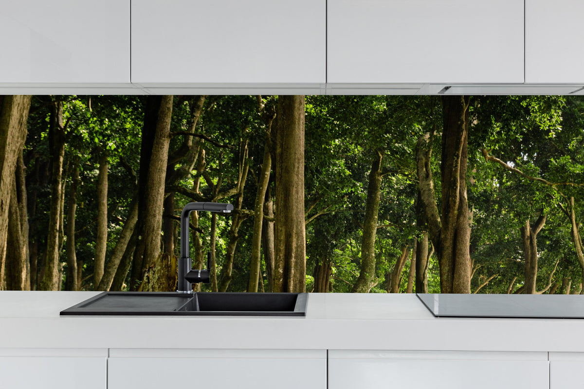 Küche - Tropischer Wald auf der Insel Havelock hinter weißen Hochglanz-Küchenregalen und schwarzem Wasserhahn