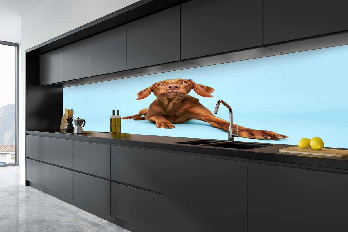 Küche - Ungarischer Vizsla-Welpe Portrait in tiefschwarzer matt-premium Einbauküche