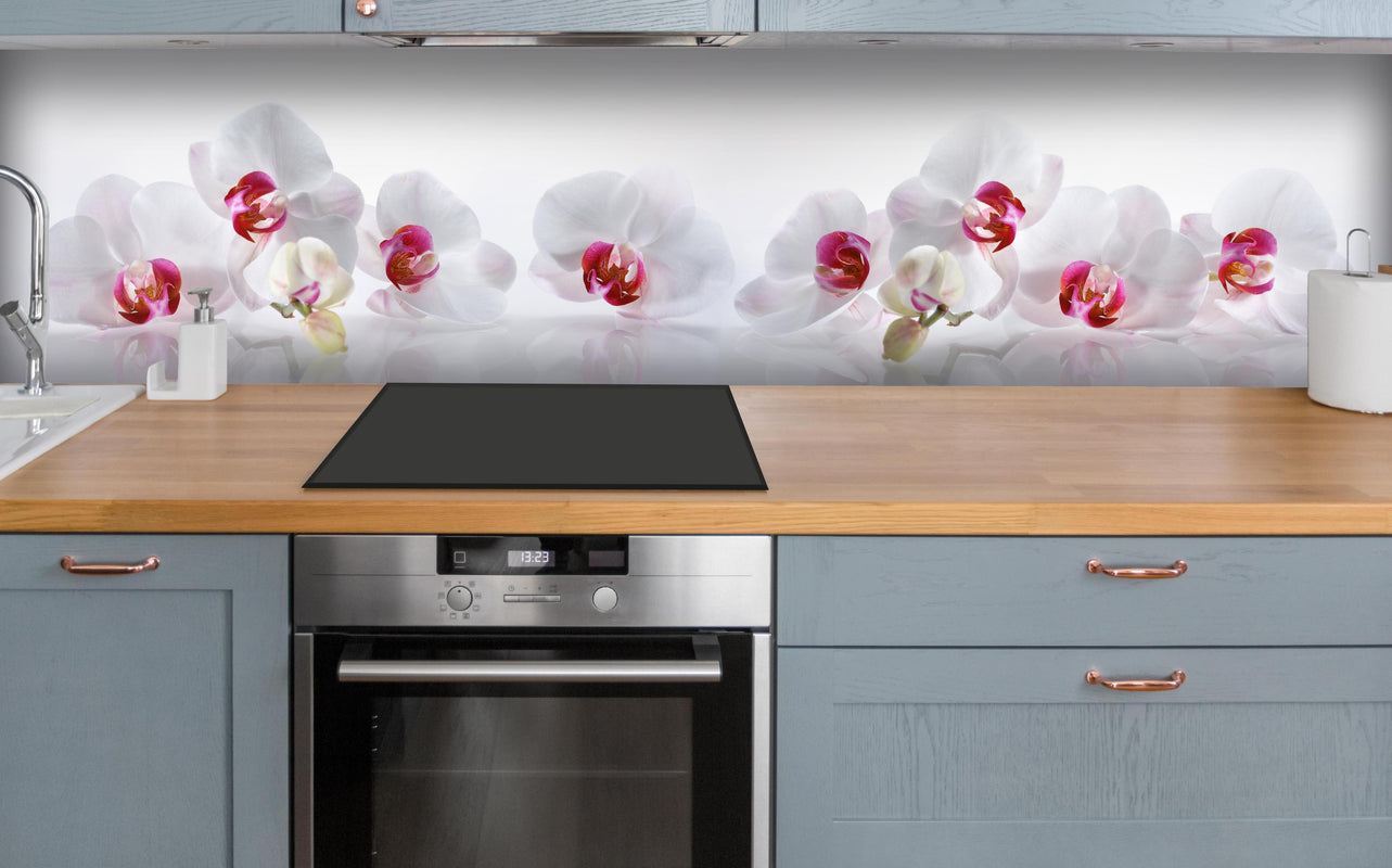 Küche - Weiße Orchideen über polierter Holzarbeitsplatte mit Cerankochfeld
