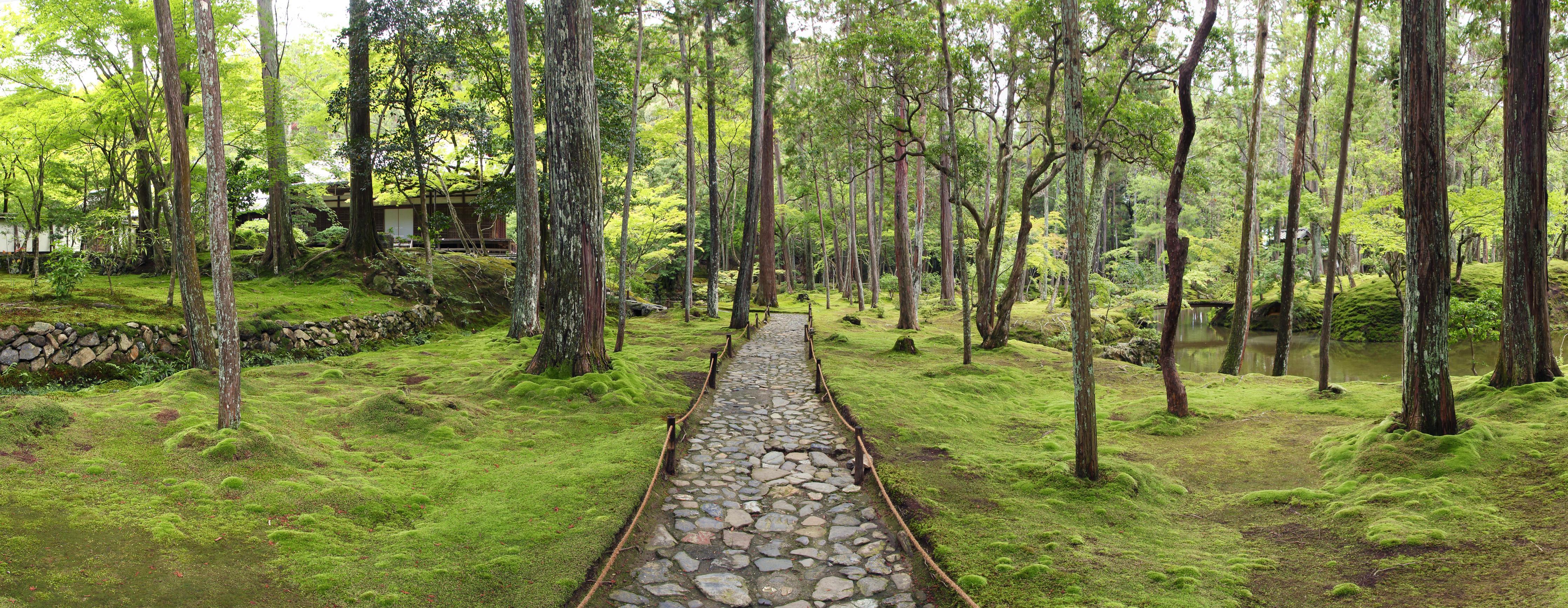 Küchenrückwand-Wunderschöner Moosgarten in Kyoto