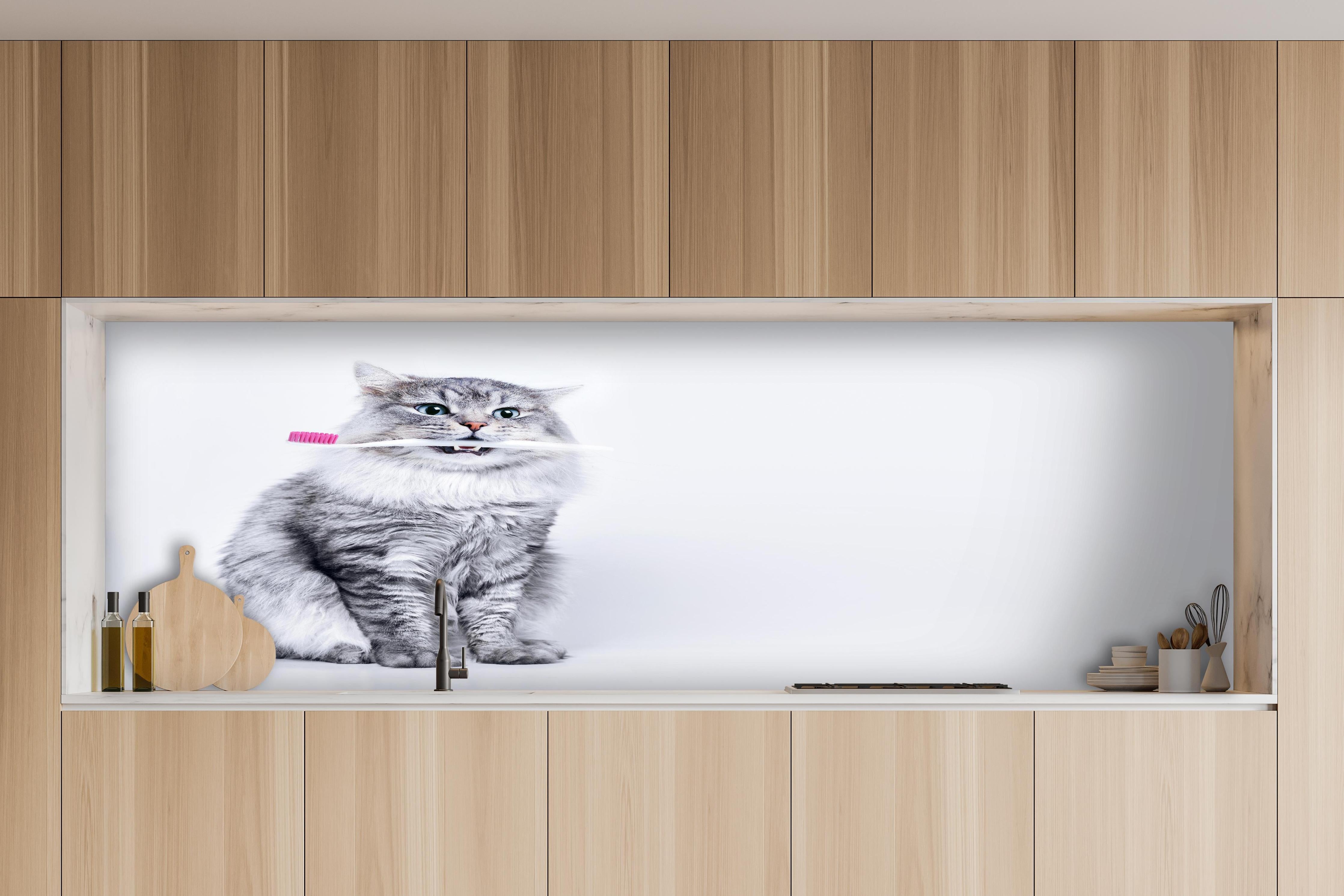 Küche - Lustige Katze mit Zahnbürste hinter weißen Hochglanz-Küchenregalen und schwarzem Wasserhahn