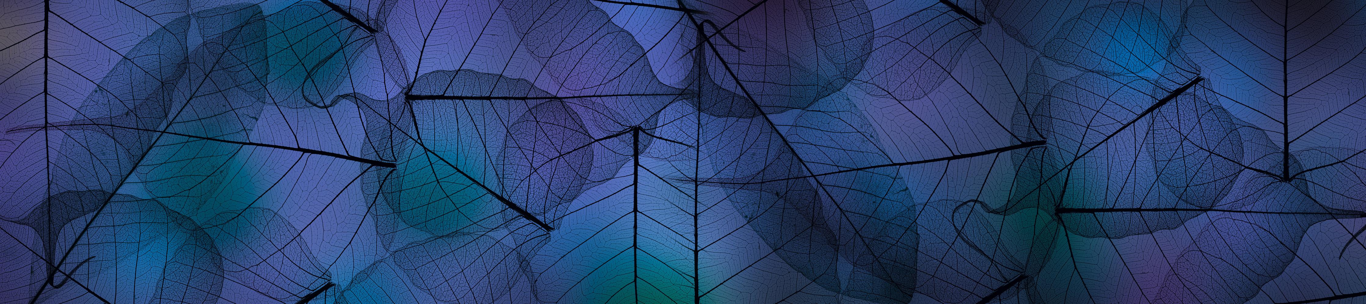 Küchenrückwand-Makro Texturen von Blattadern in Blau