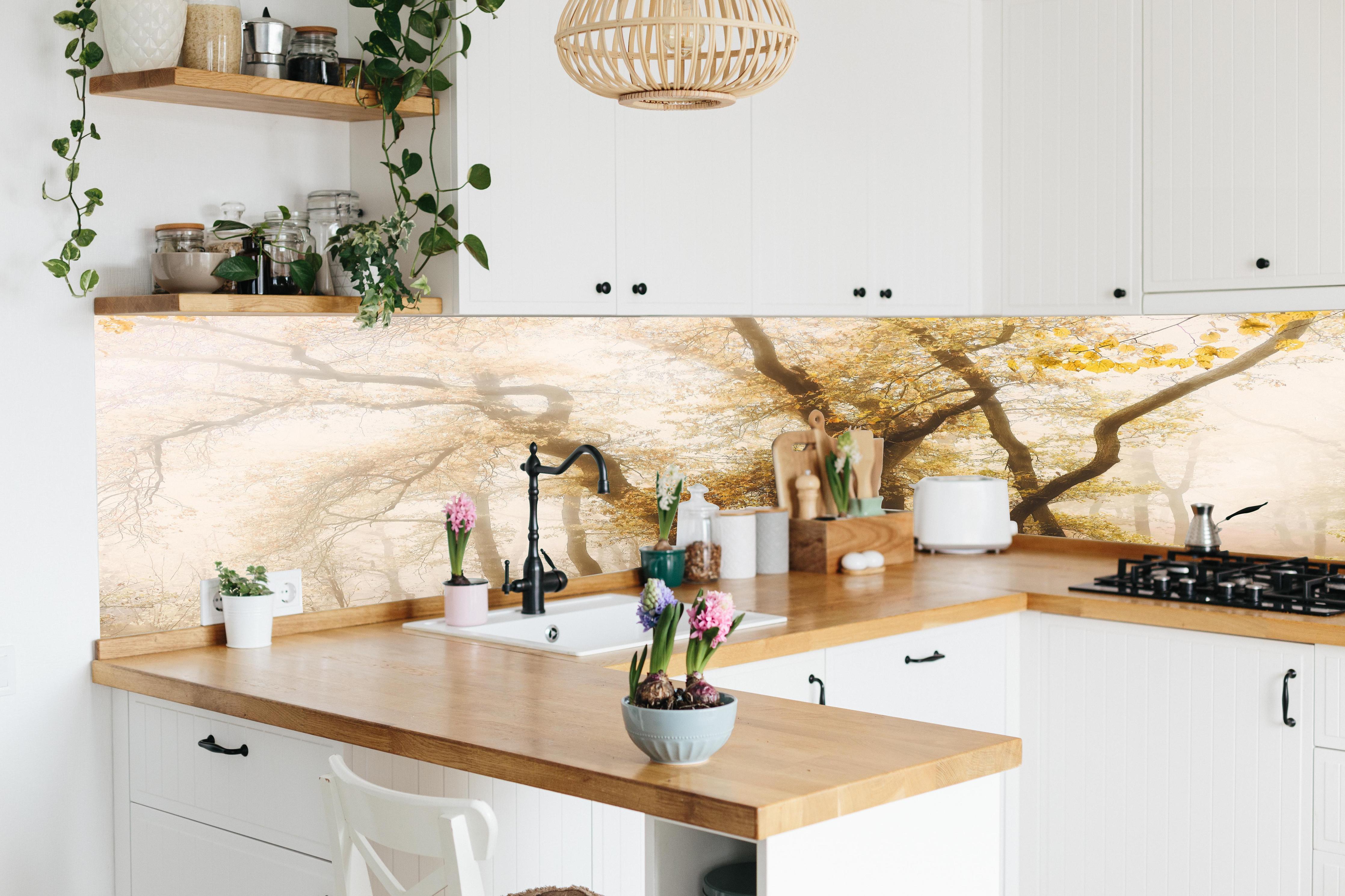 Küche - Nebeliger Wald im Herbst hinter weißen Hochglanz-Küchenregalen und schwarzem Wasserhahn