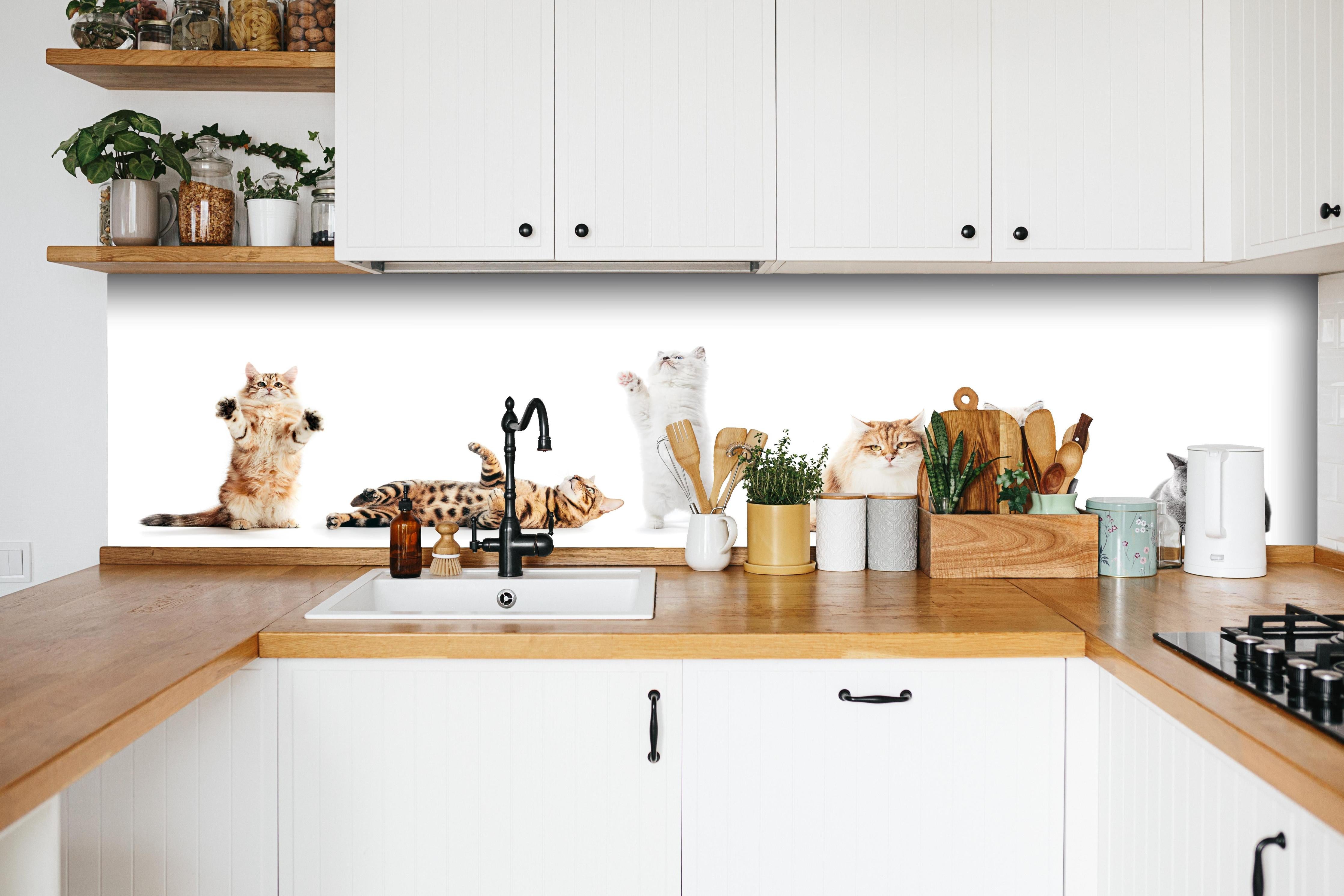 Küche - Sammlung reinrassiger Katzen auf Weiß hinter weißen Hochglanz-Küchenregalen und schwarzem Wasserhahn