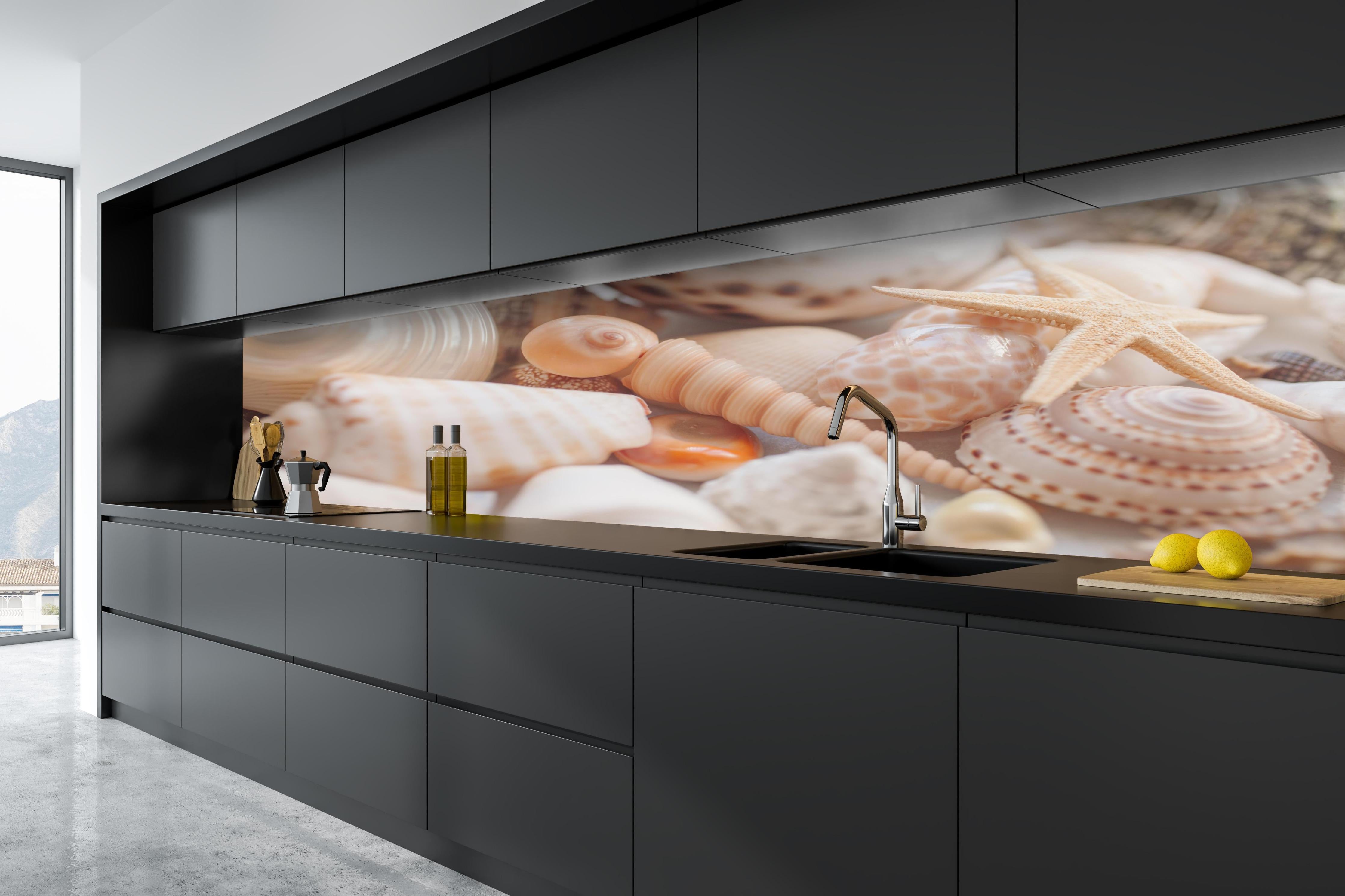 Küche - Schöne Muschelsammlung hinter weißen Hochglanz-Küchenregalen und schwarzem Wasserhahn