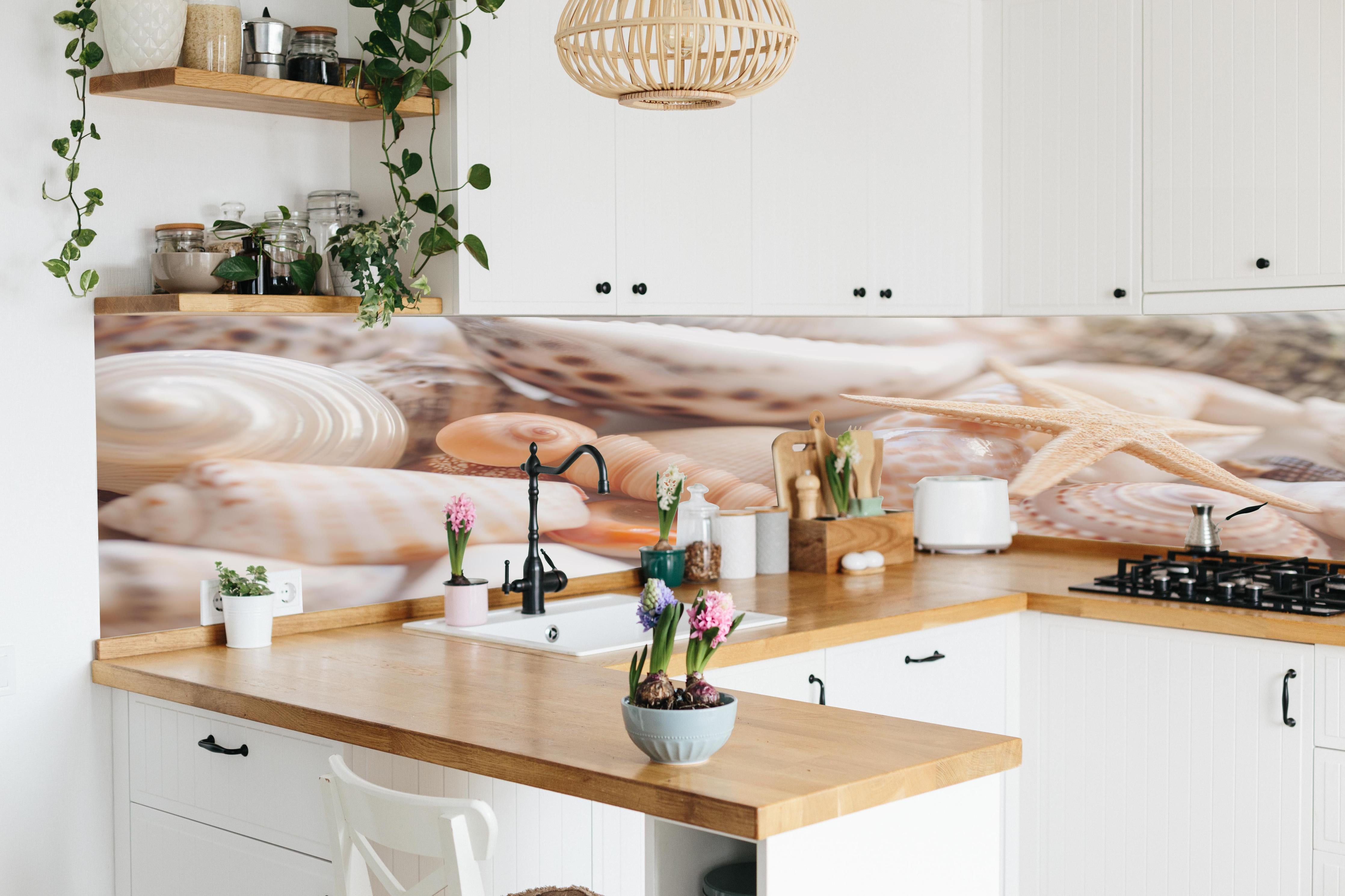 Küche - Schöne Muschelsammlung hinter weißen Hochglanz-Küchenregalen und schwarzem Wasserhahn