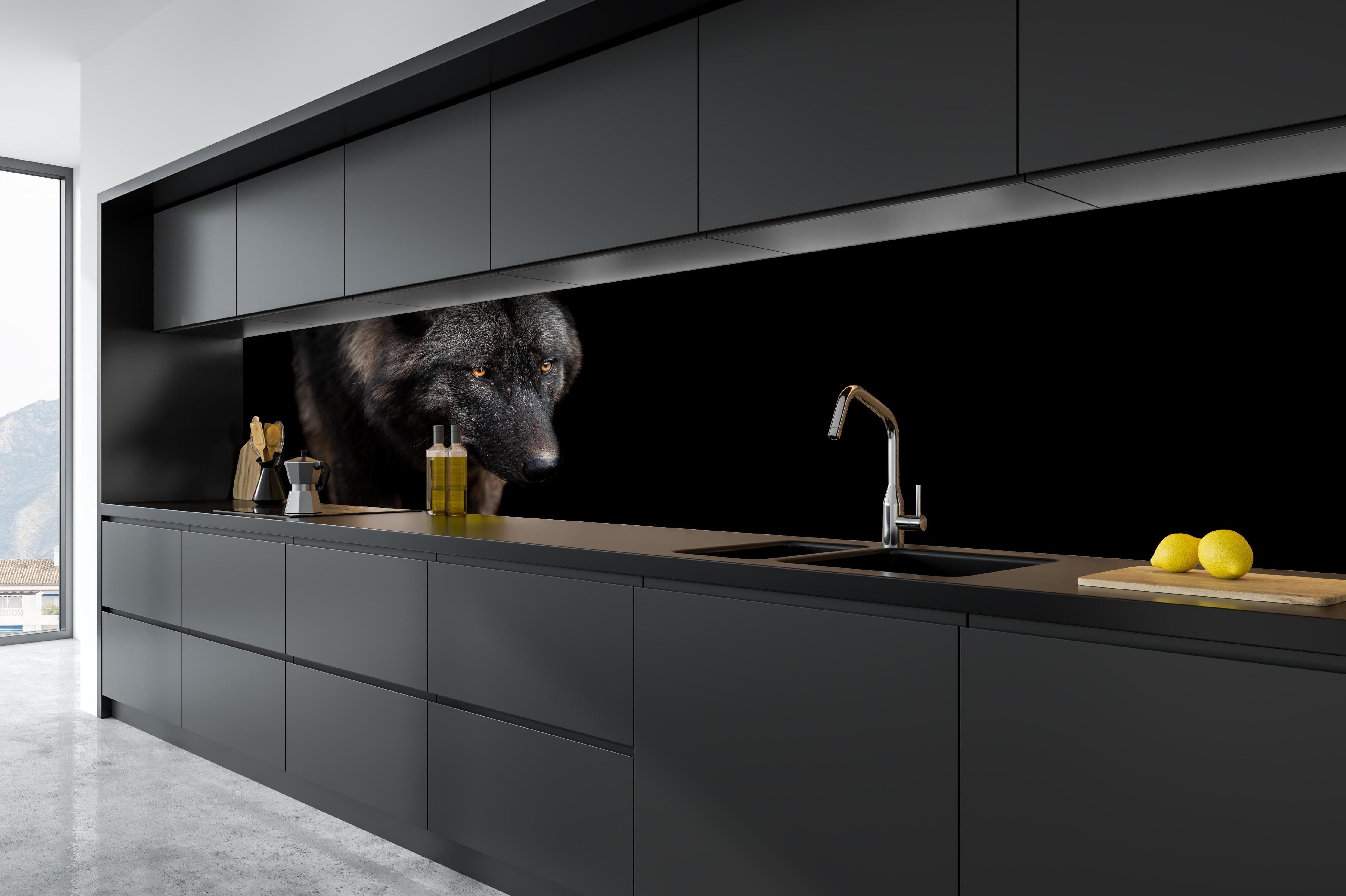 Küche - Schwarzer Wolf auf schwarzem Hintergrund hinter weißen Hochglanz-Küchenregalen und schwarzem Wasserhahn