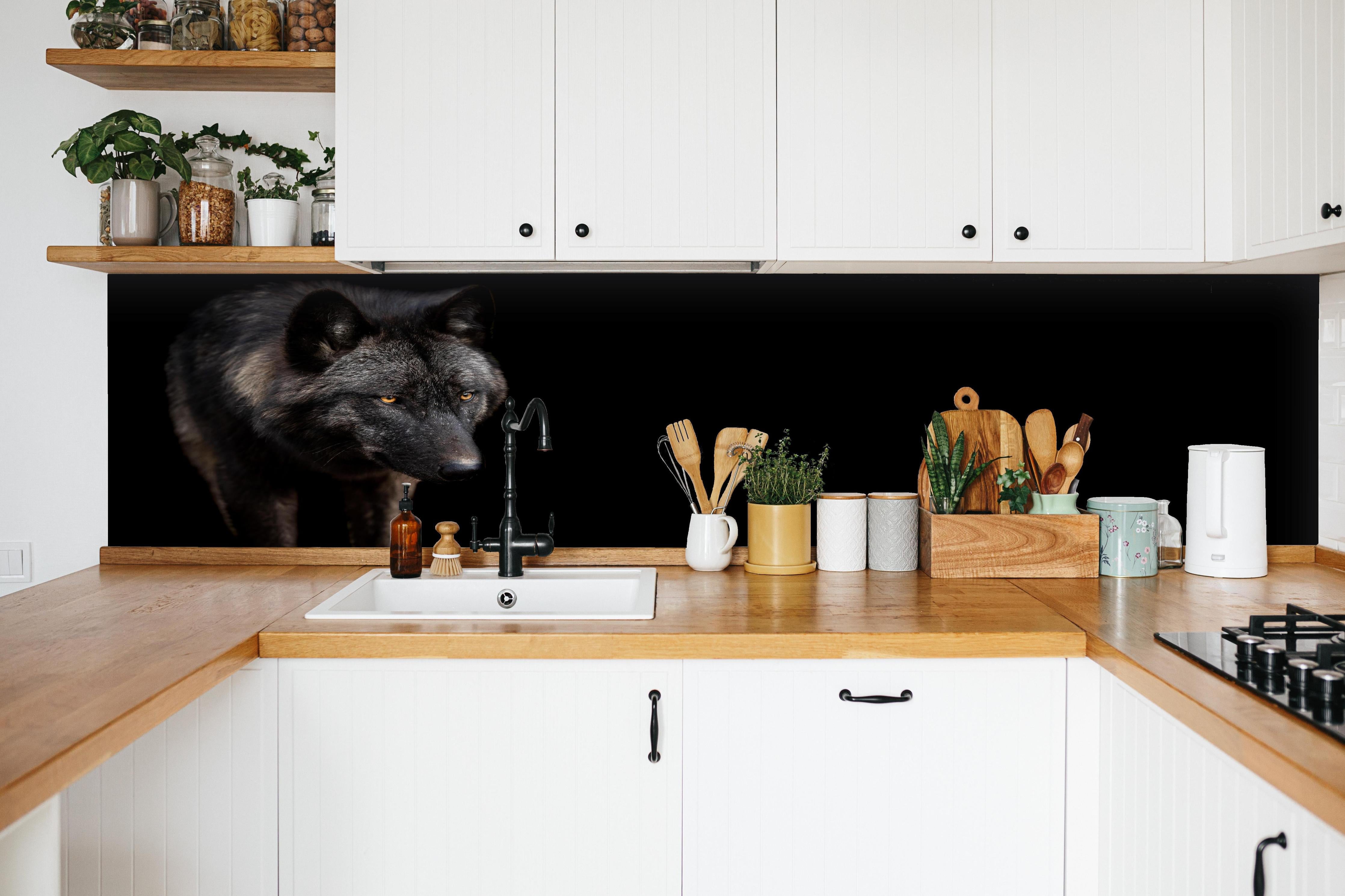 Küche - Schwarzer Wolf auf schwarzem Hintergrund hinter weißen Hochglanz-Küchenregalen und schwarzem Wasserhahn