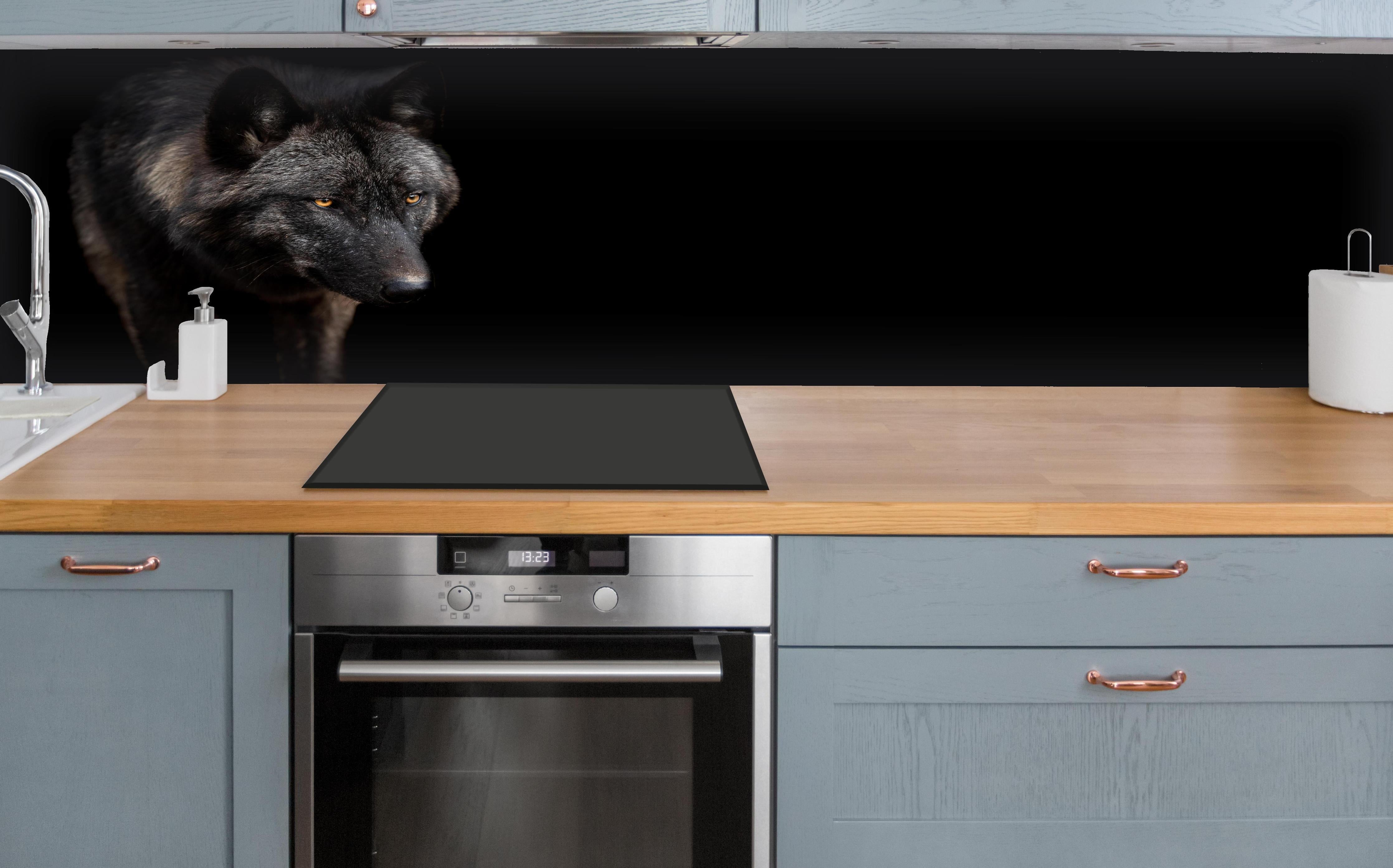 Küche - Schwarzer Wolf auf schwarzem Hintergrund hinter weißen Hochglanz-Küchenregalen und schwarzem Wasserhahn