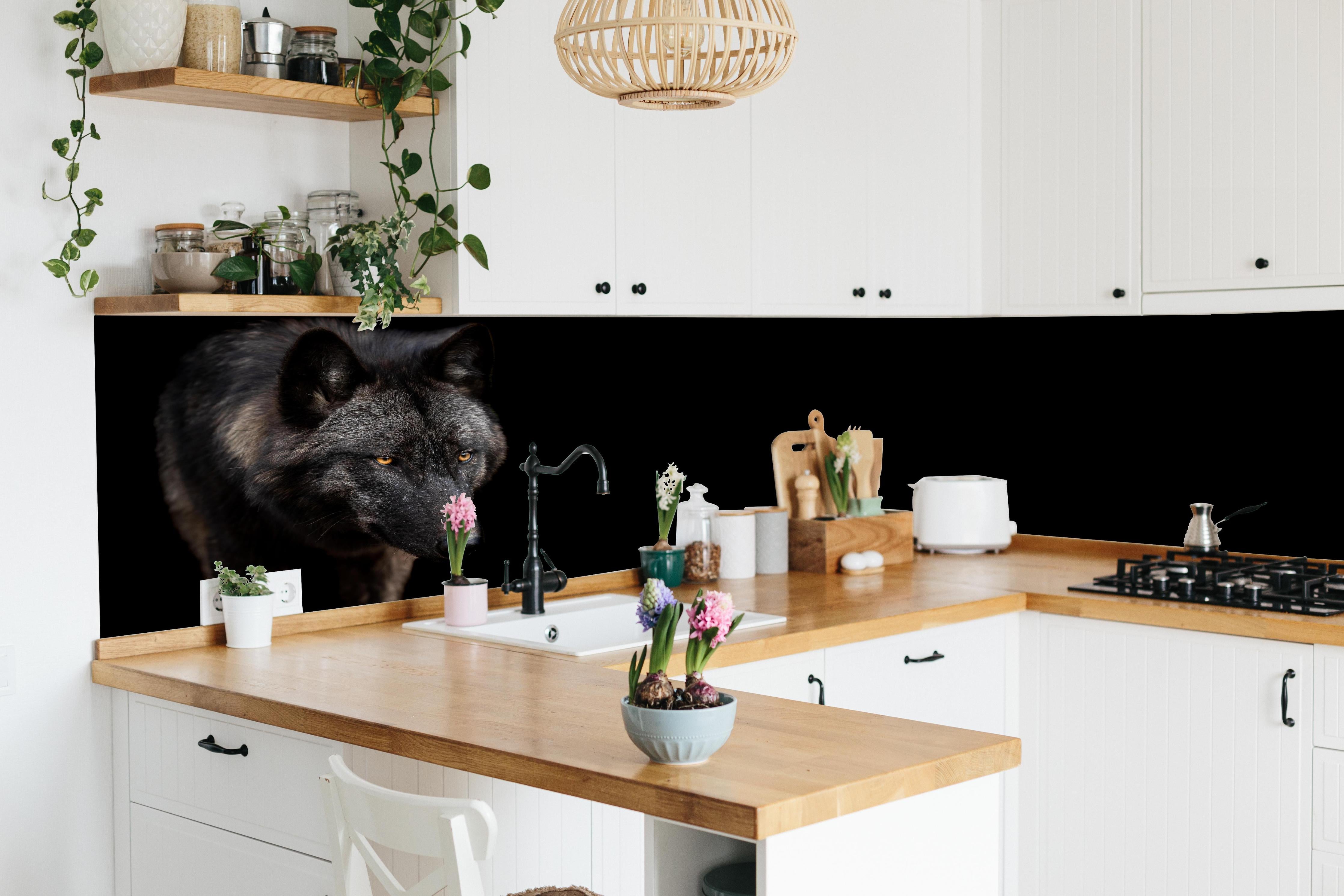 Küche - Schwarzer Wolf auf schwarzem Hintergrund hinter weißen Hochglanz-Küchenregalen und schwarzem Wasserhahn